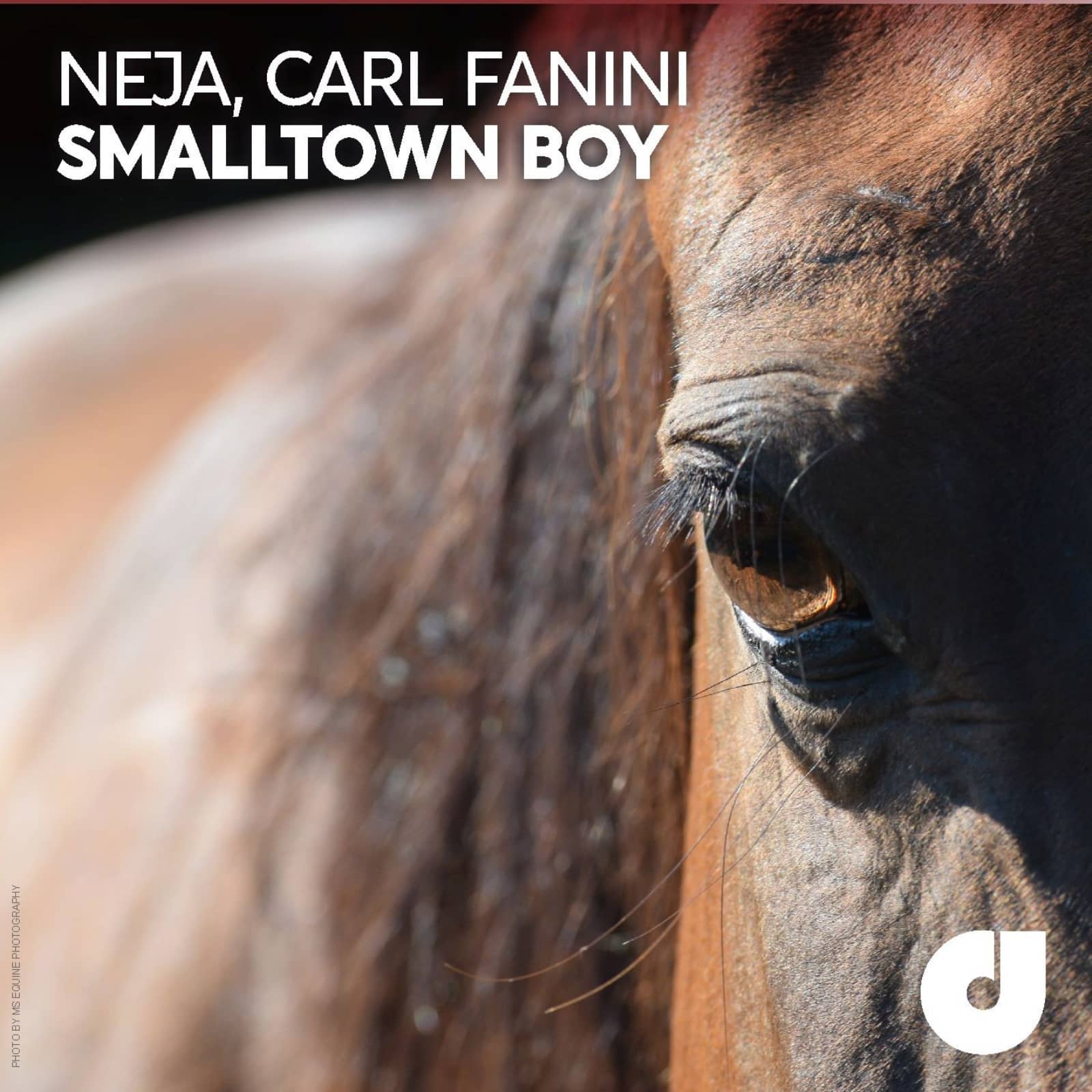 Neja & Carl Fanini — Smalltown Boy