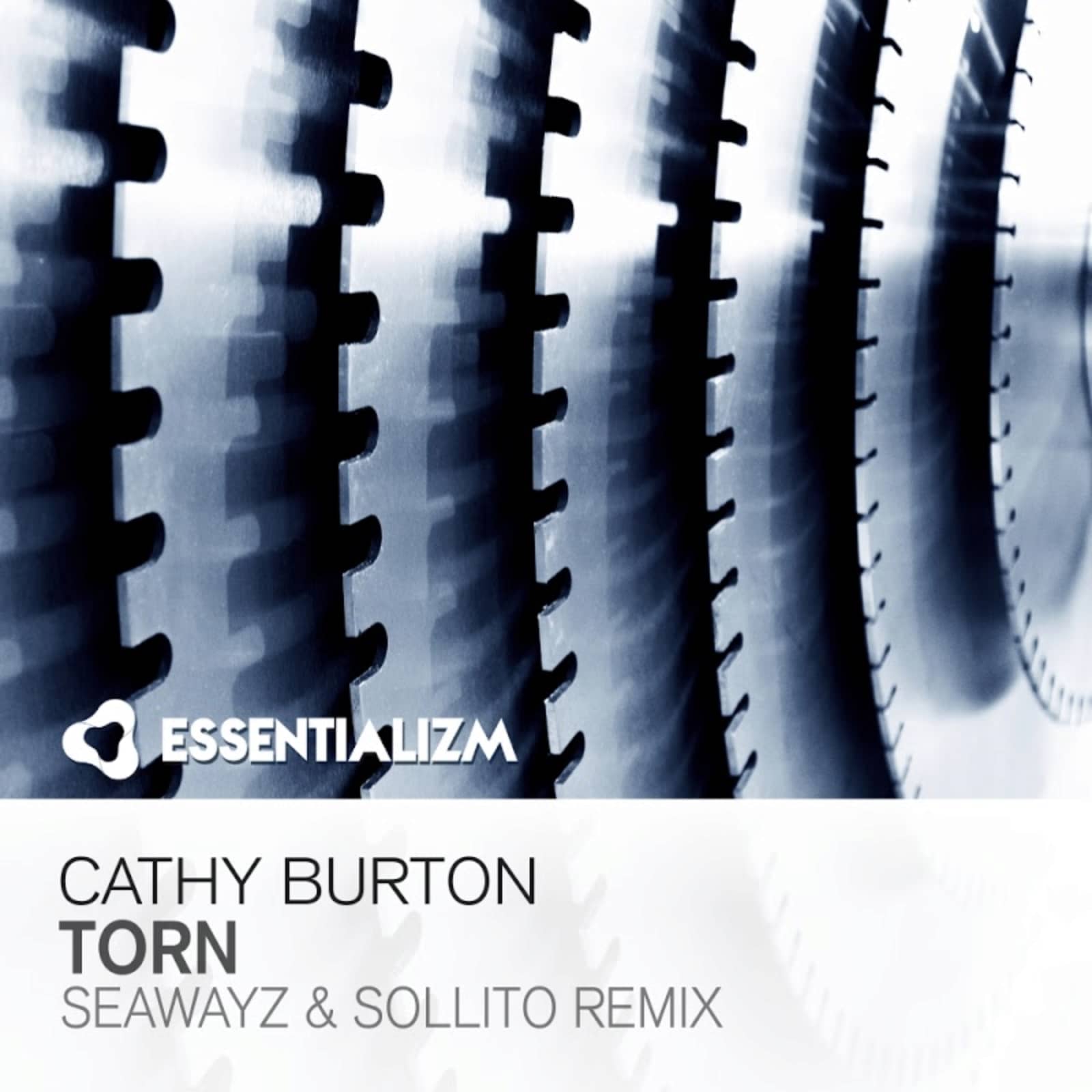Cathy Burton — Torn (Seawayz And Sollito Edit)