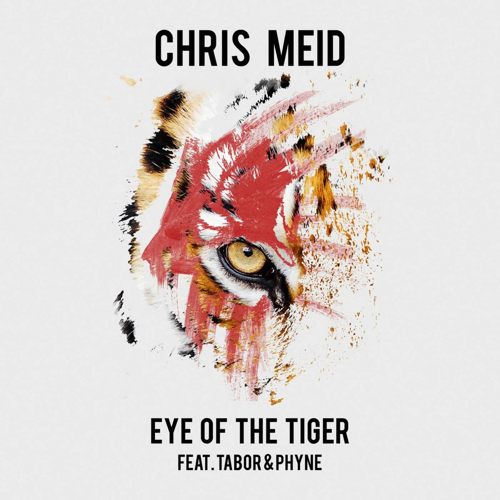 Chris Meid feat. Tabor & Phyne — Eye of the Tiger