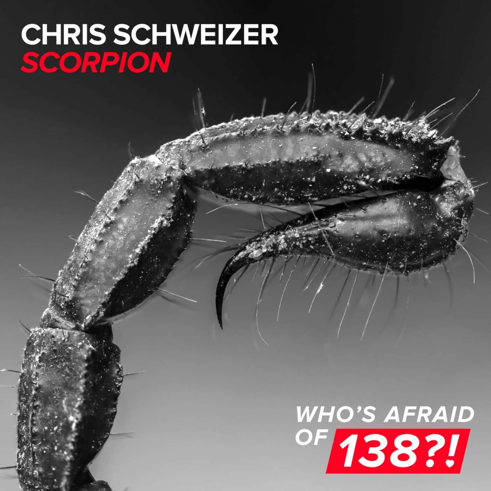 Chris Schweizer — Scorpion
