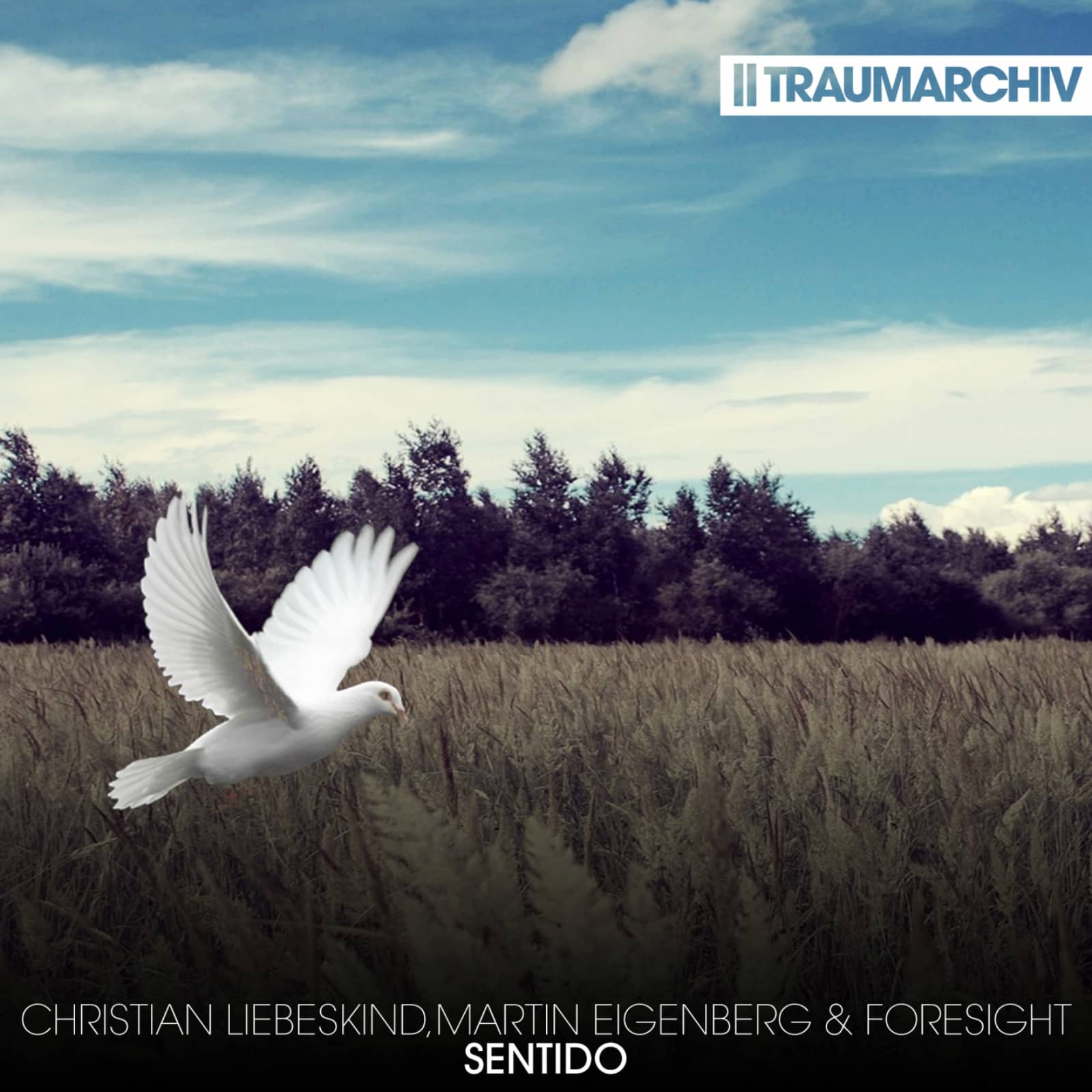 Christian Liebeskind, Martin Eigenberg & Foresight — Sentido