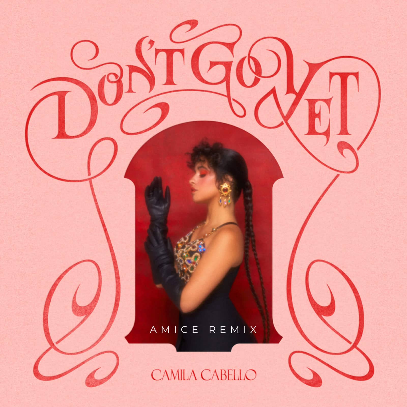 Camila Cabello — Dont Go Yet (Amice Remix)