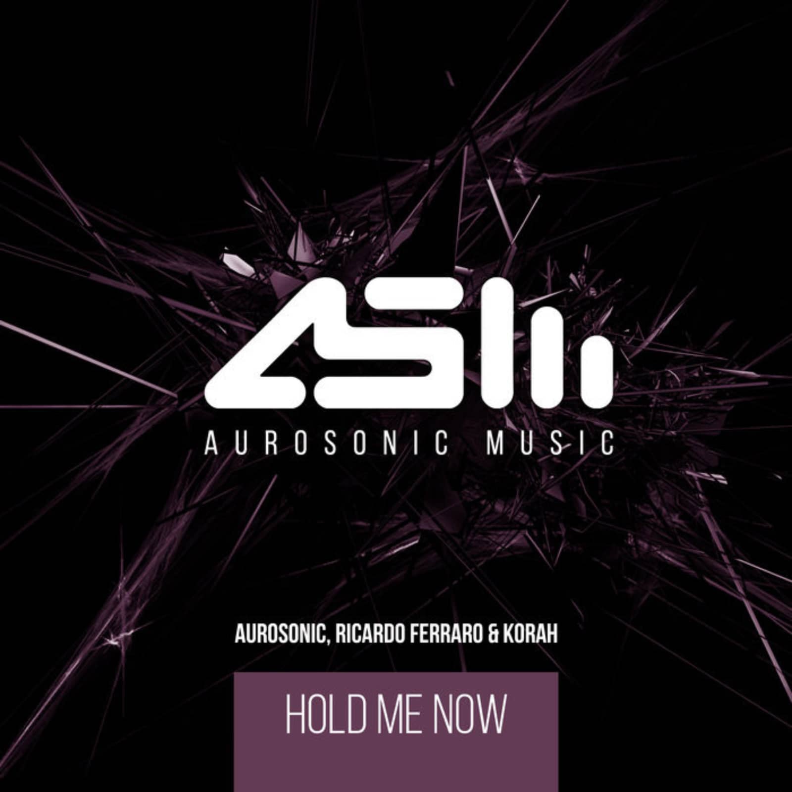 Aurosonic & Ricardo Ferraro feat. Korah — Hold Me Now (Original Mix)