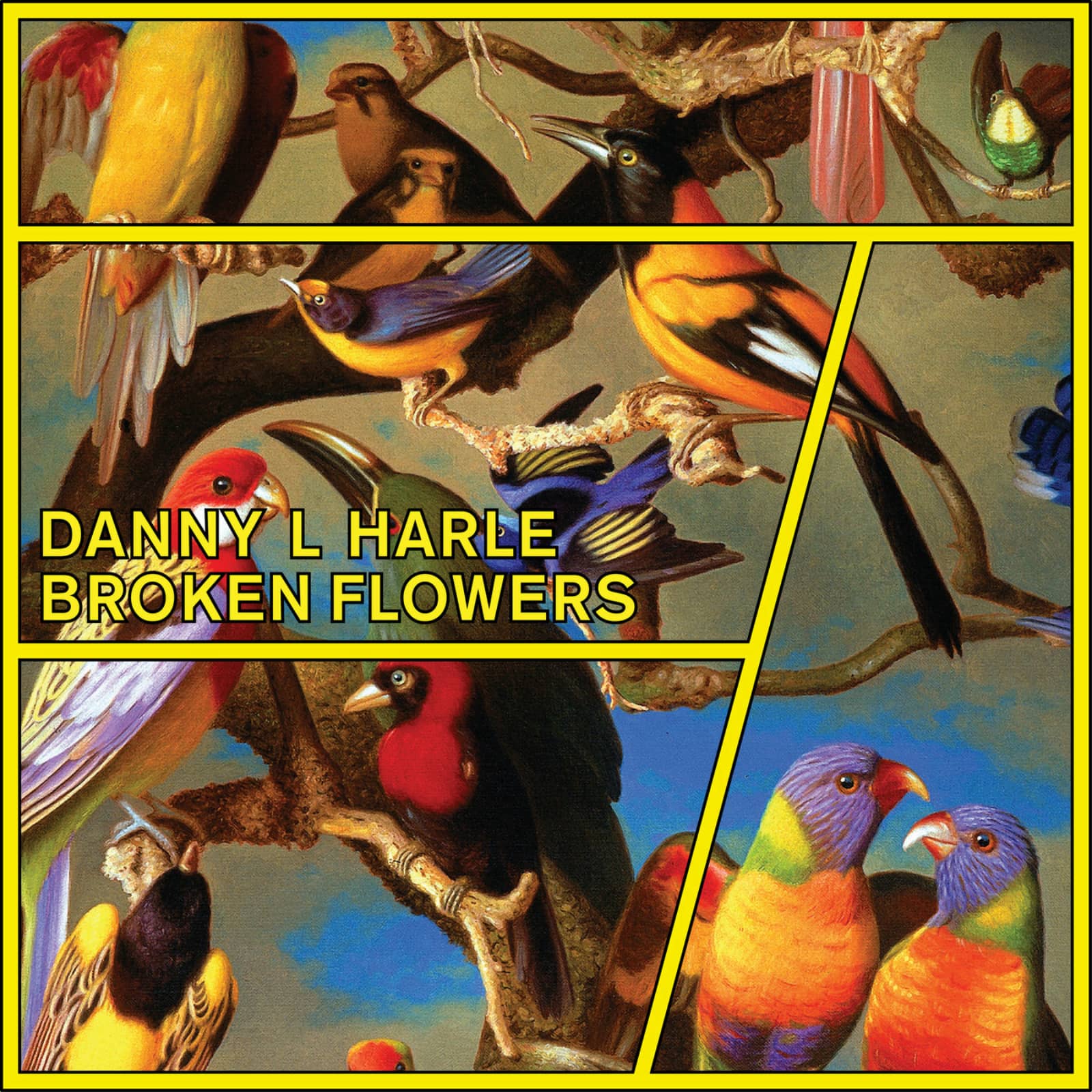 Danny L Harle — Broken Flowers (Franky Rizardo Remix)