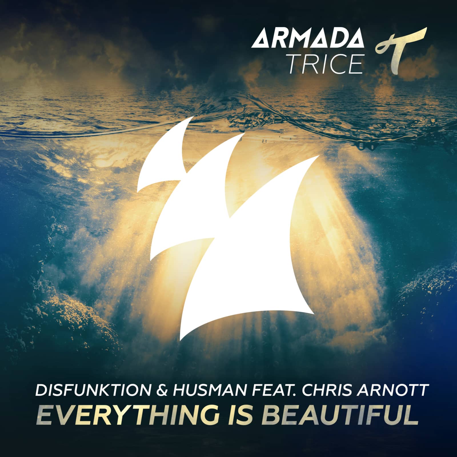 Disfunktion & Husman feat. Chris Arnott — Everything Is Beautiful