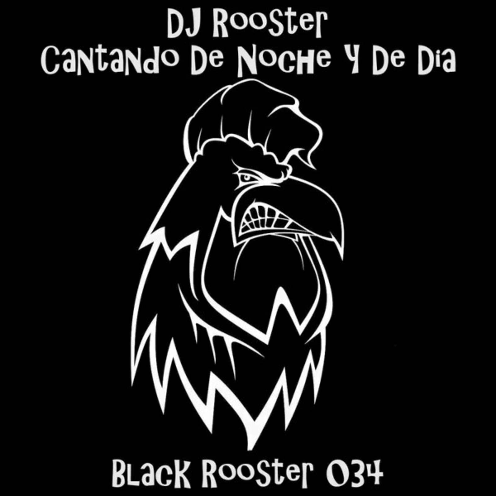 DJ Rooster — Cantando de Noche y de Dia (Original Mix)