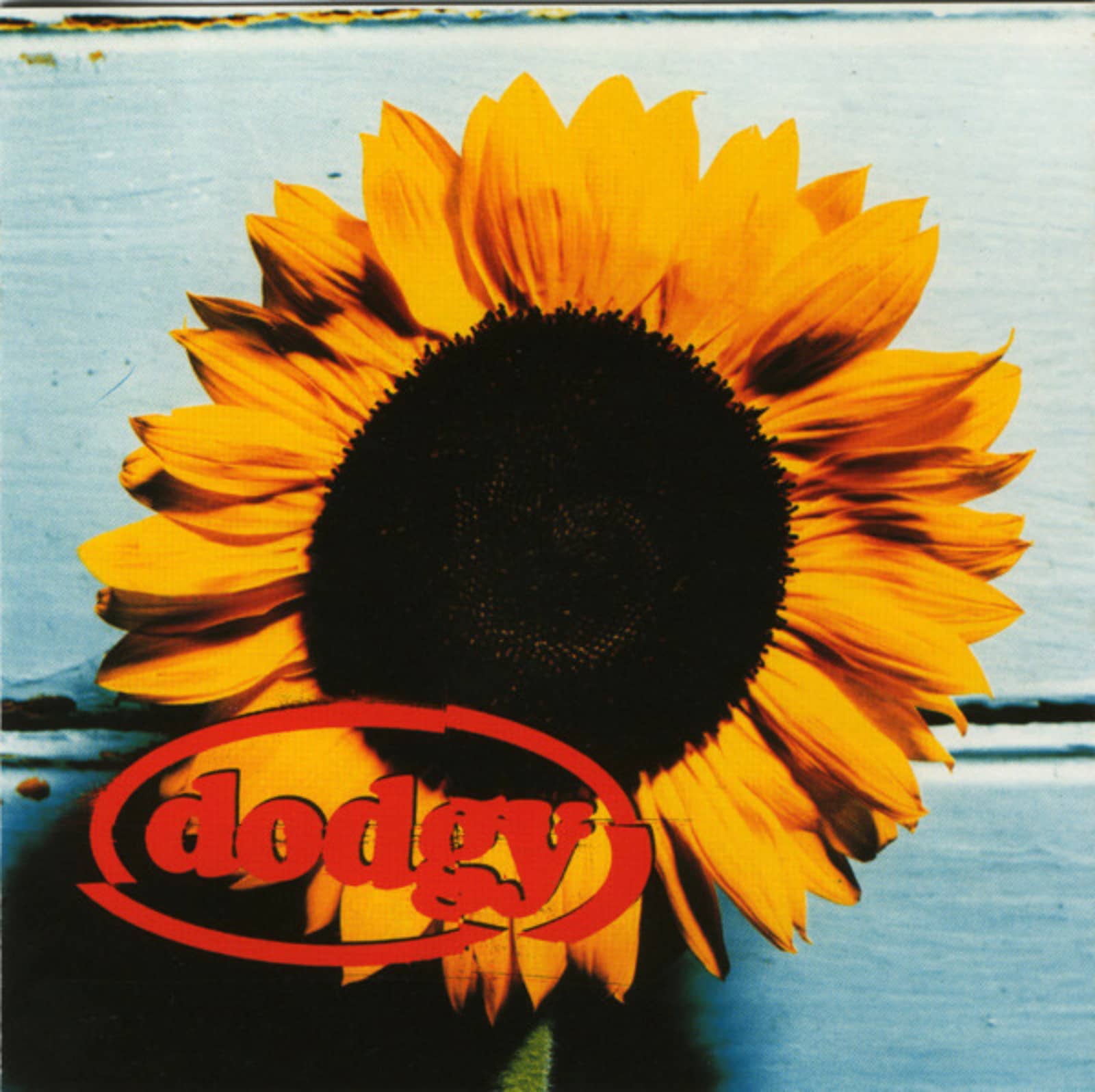 Dodgy — Good Enough