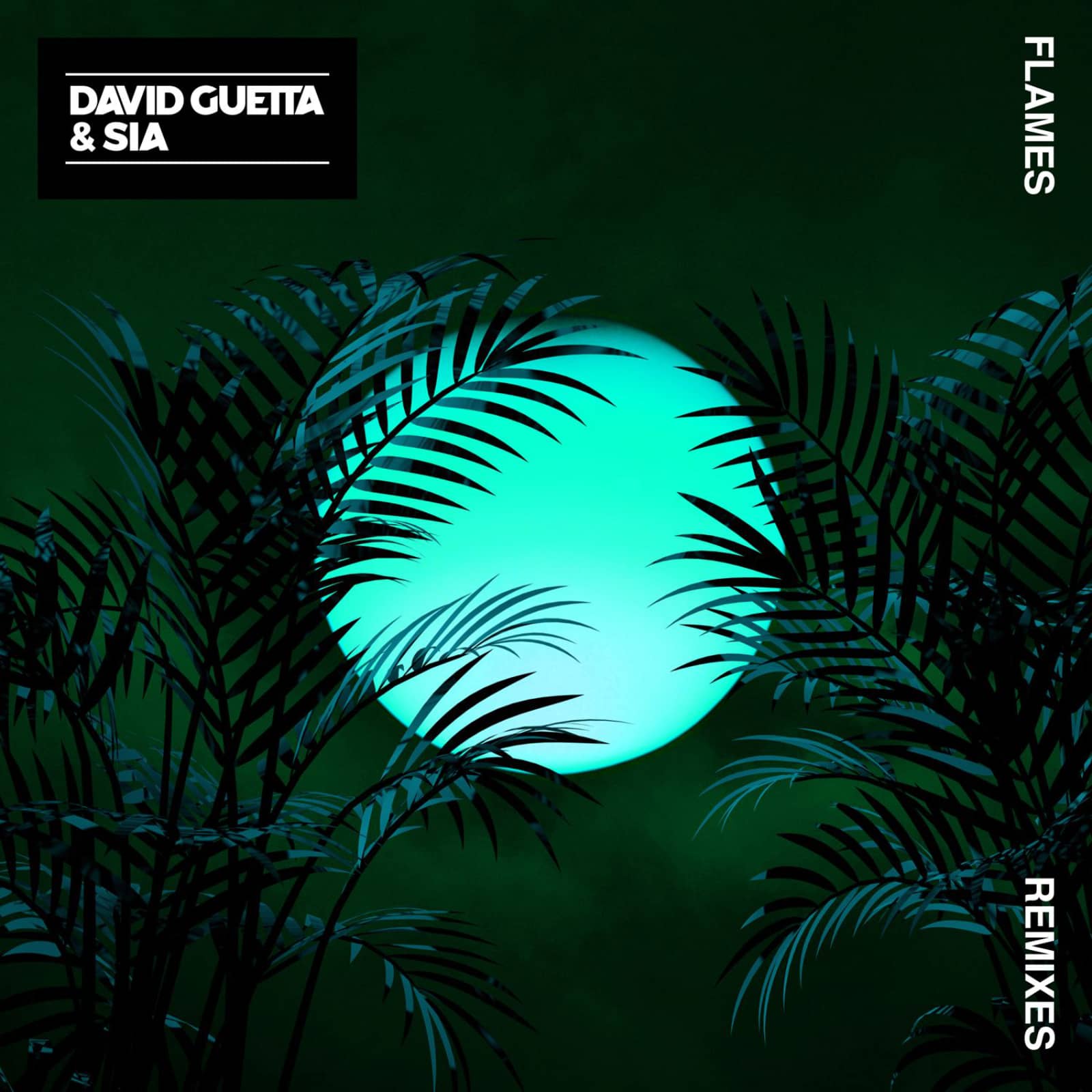 David Guetta & Sia — Flames