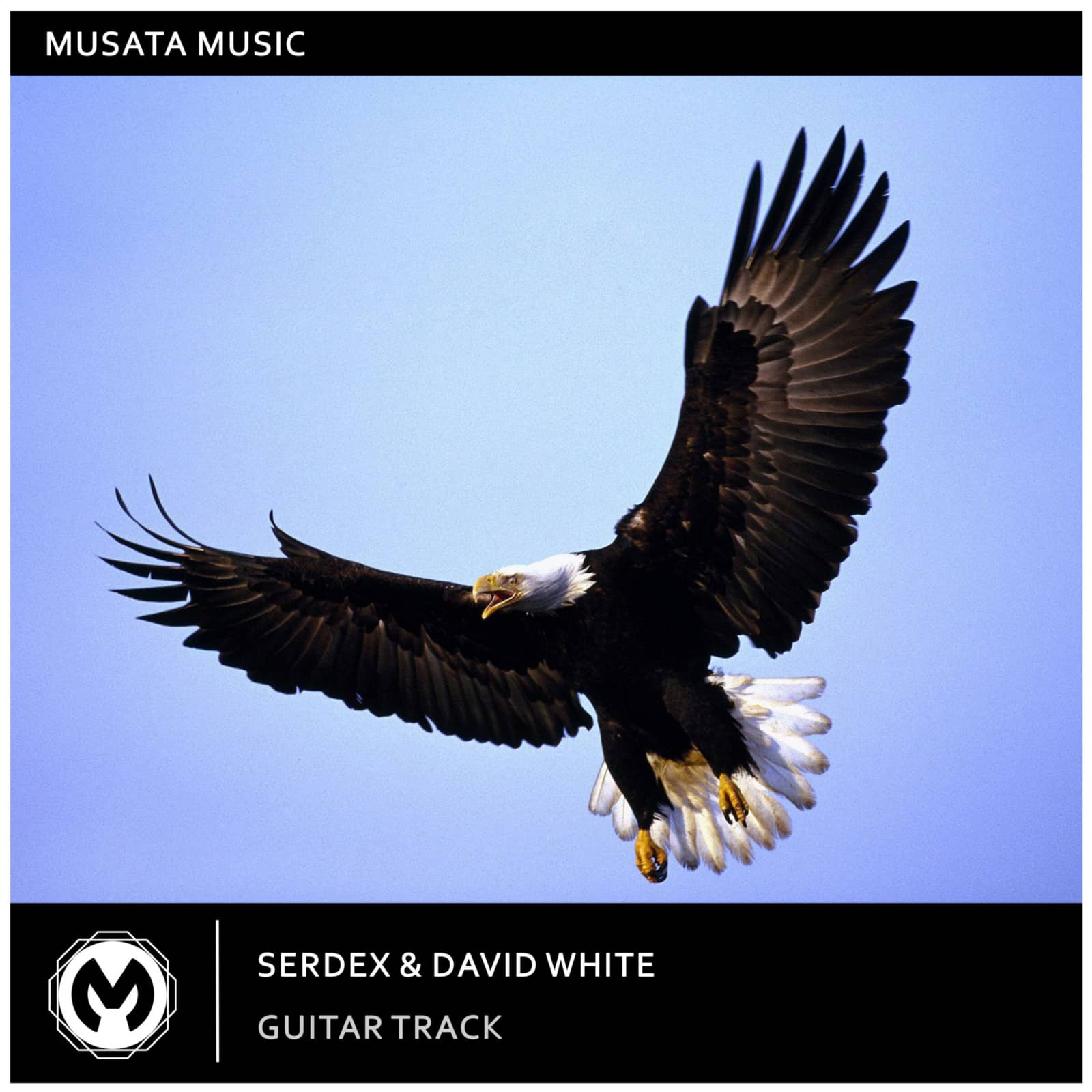 Serdex, DAVID WHITE — Guitar Track (Extended Mix)