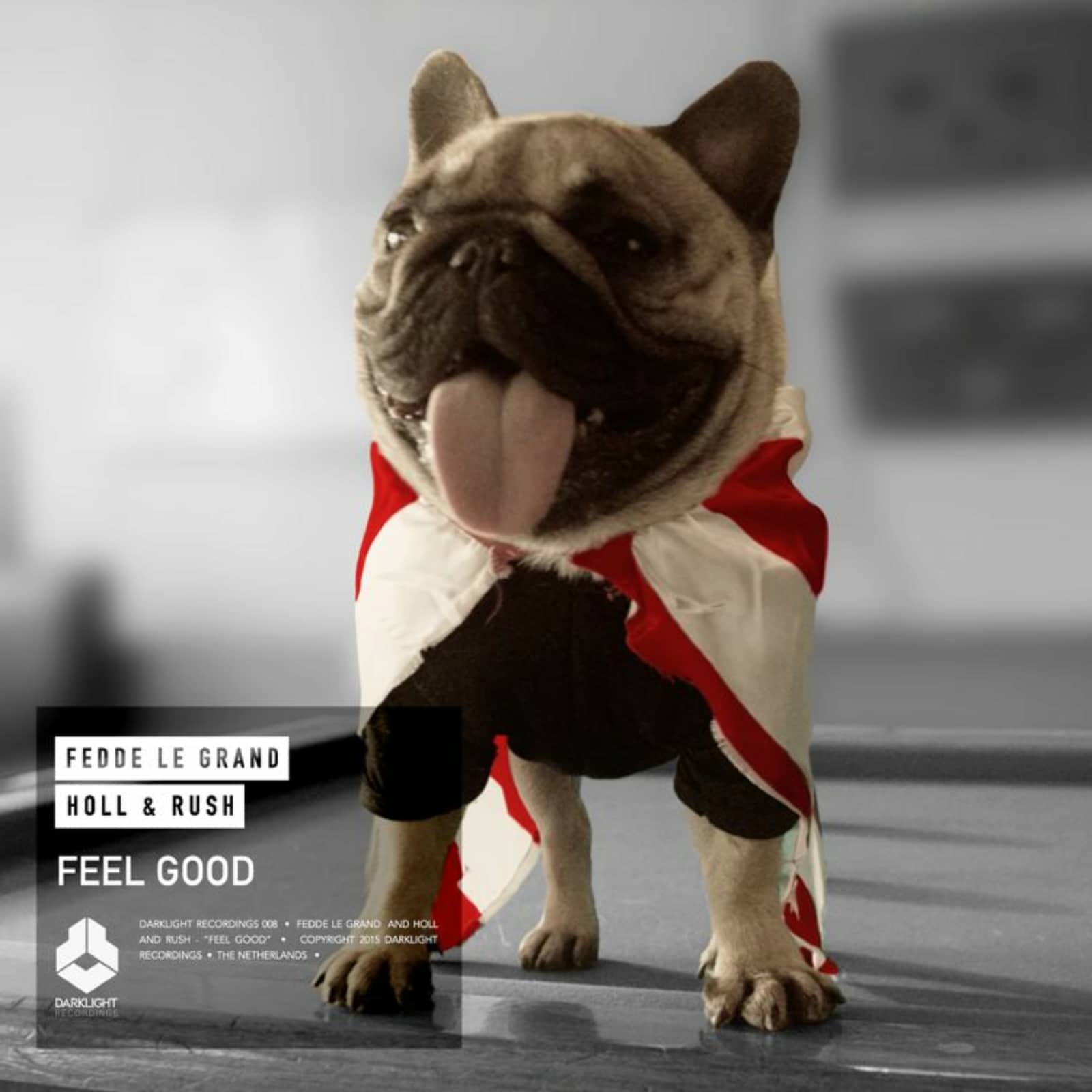 Fedde Le Grand & Holl & Rush — Feel Good (Radio Edit)