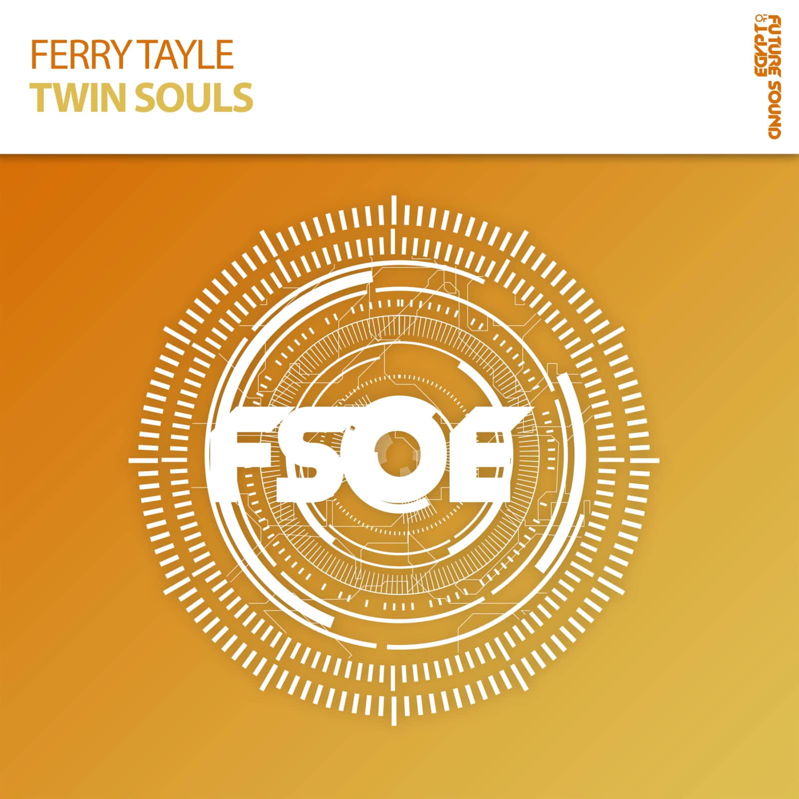 Ferry Tayle — Twin Souls (TonKs Intro Mix)