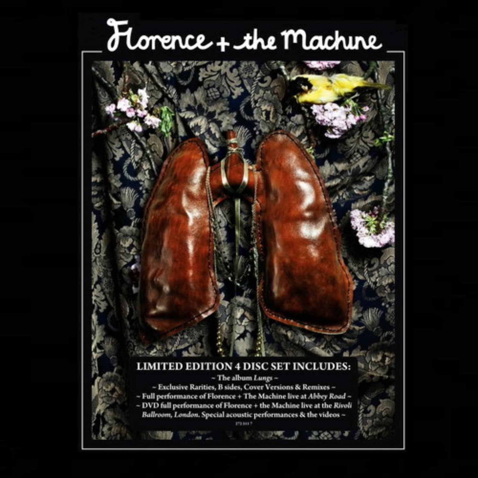 Florence + The Machine — Oh! Darling