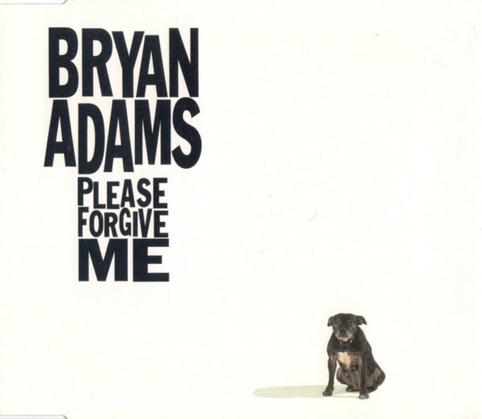 Bryan Adams — Please Forgive Me