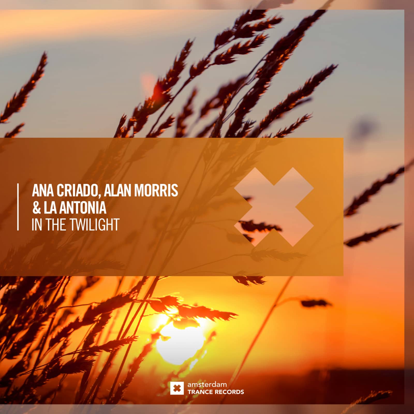 Ana Criado , Alan Morris & La Antonia — In The Twilight (Extended Mix)