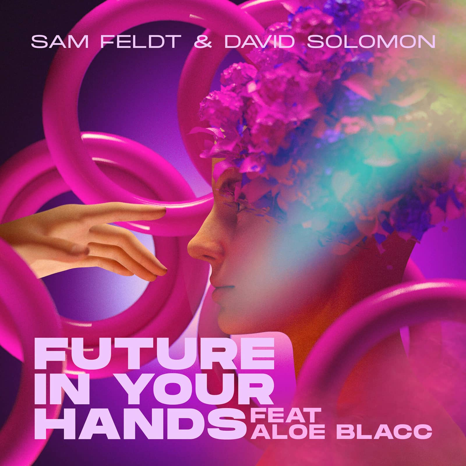 Sam Feldt & David Solomon feat. Aloe Blacc — Future In Your Hands (Radio Edit)