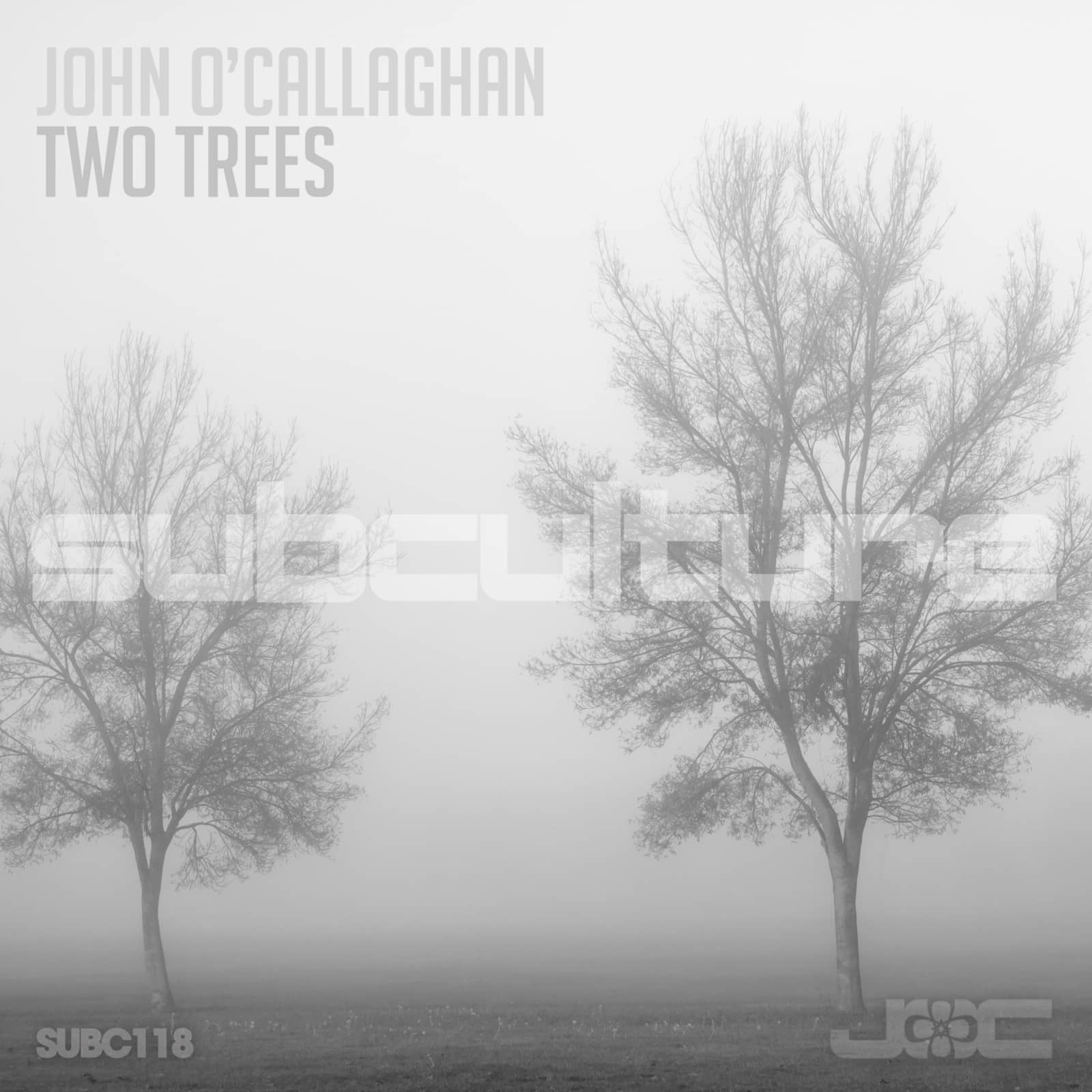 John O'Callaghan — Two Trees