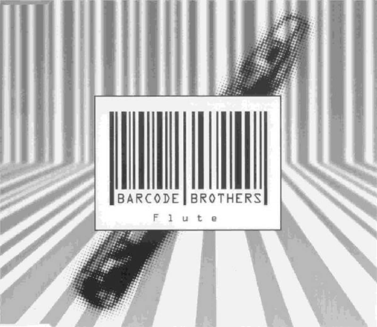 Barcode Brothers — Flute (DJ Degress remix)