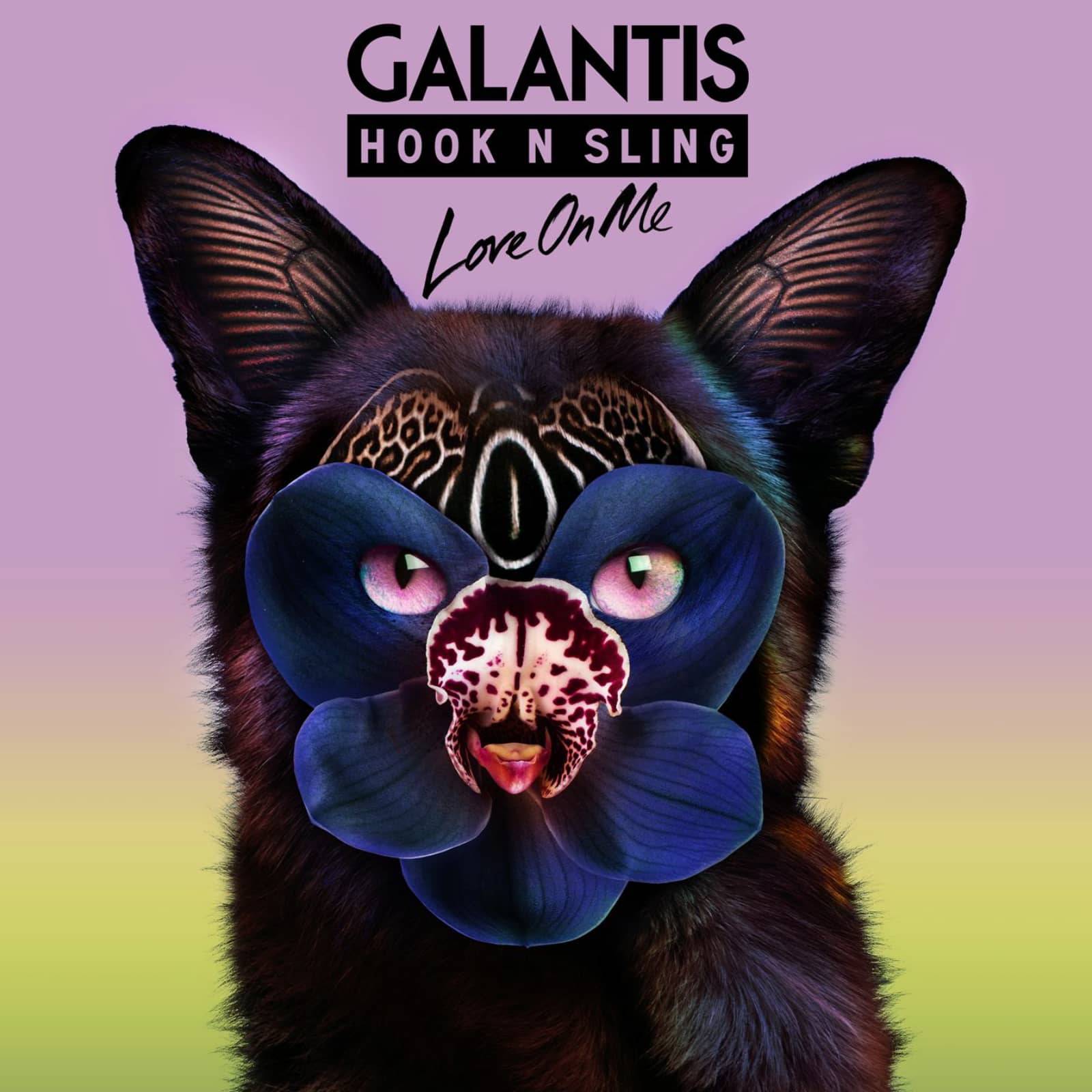 Galantis & Hook N Sling — Love On Me