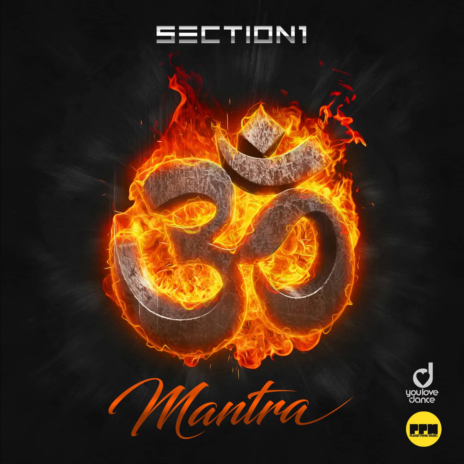 Section 1 — Mantra