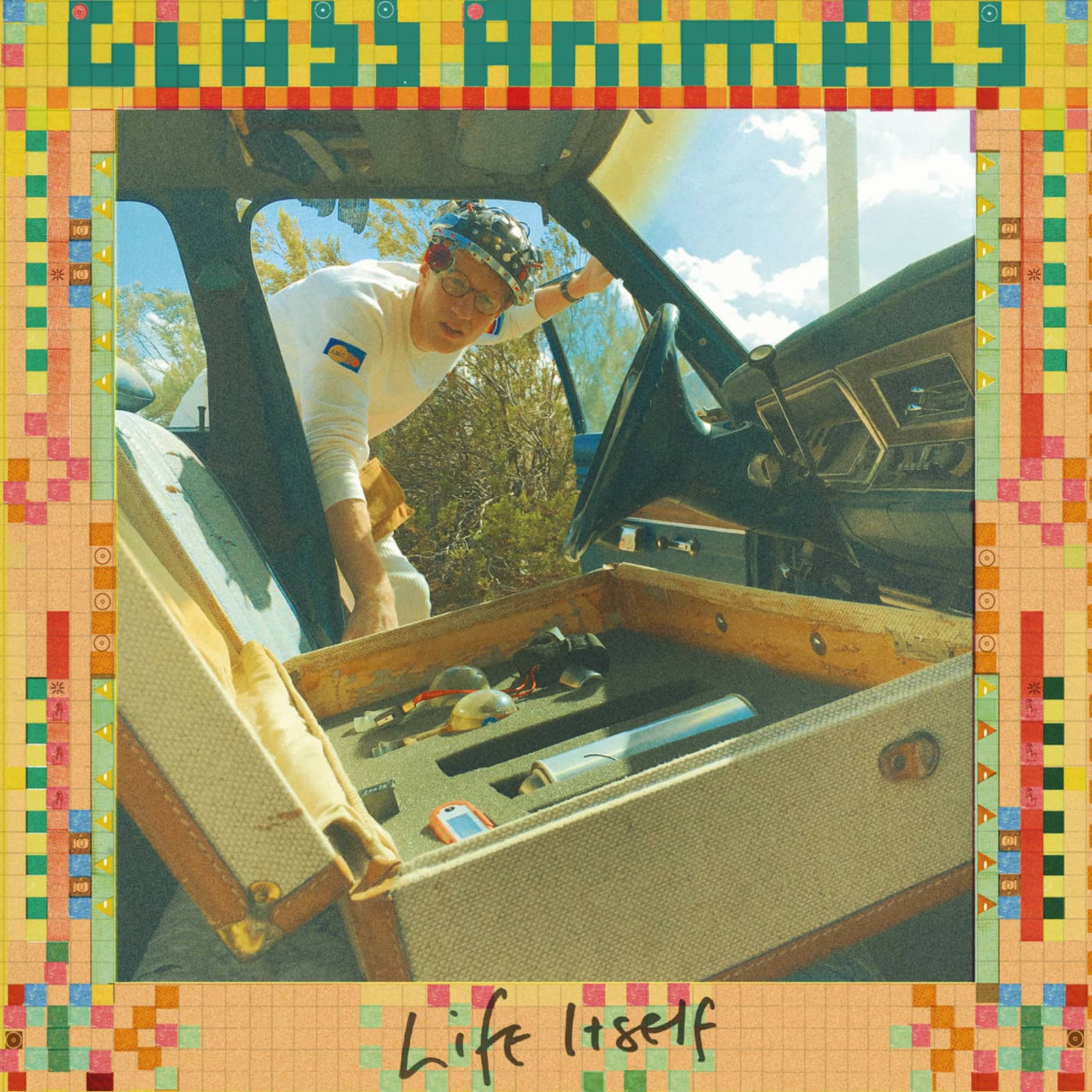 Glass Animals — Life Itself