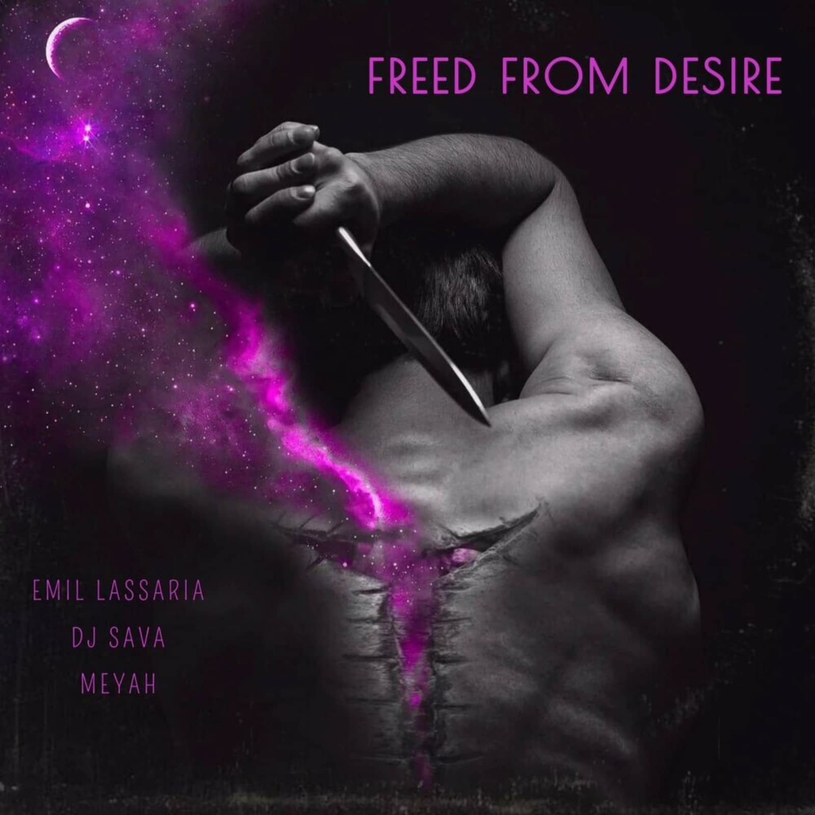 Emil Lassaria, DJ Sava & Meyah — Freed From Desire