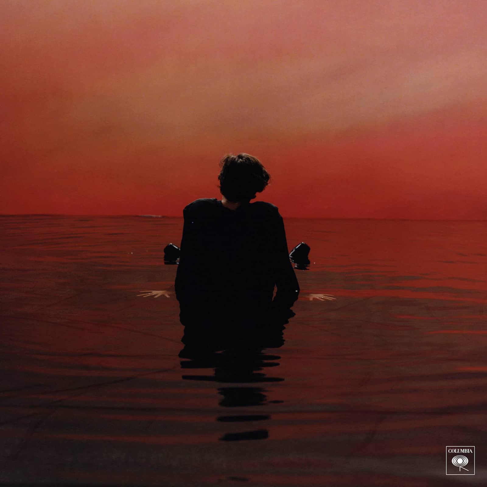 Harry Styles — Sign of the Times
