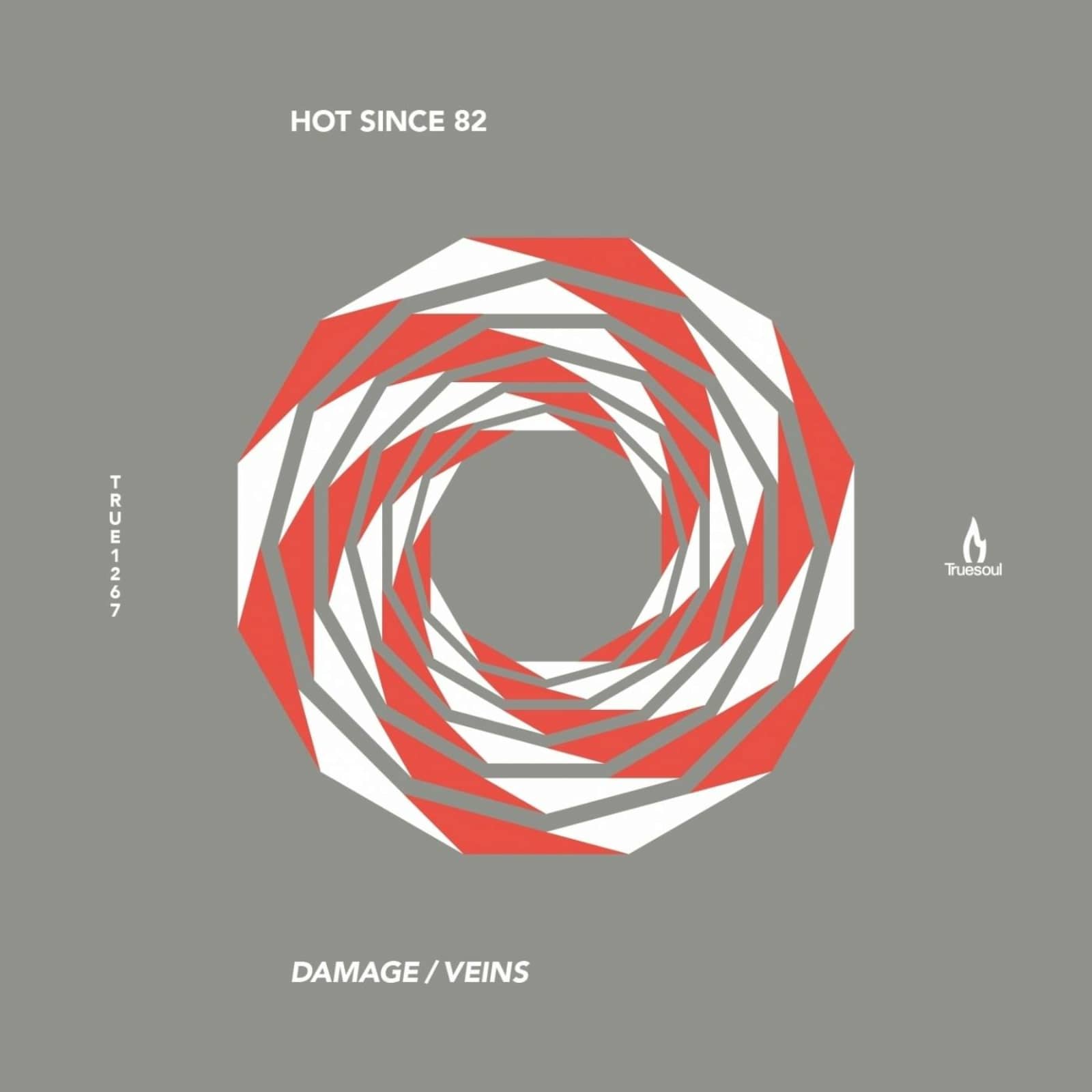 Hot Since 82 — Veins