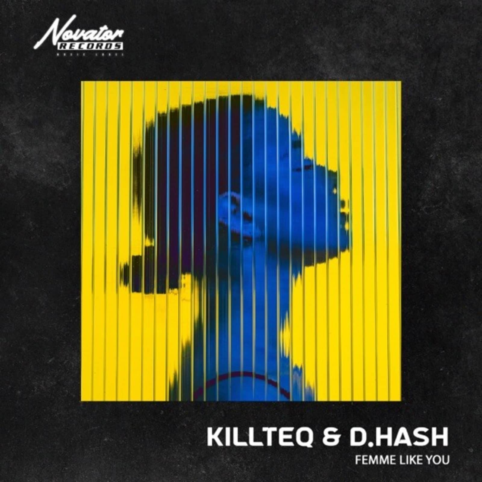 Killteq & D.Hash — Femme Like You