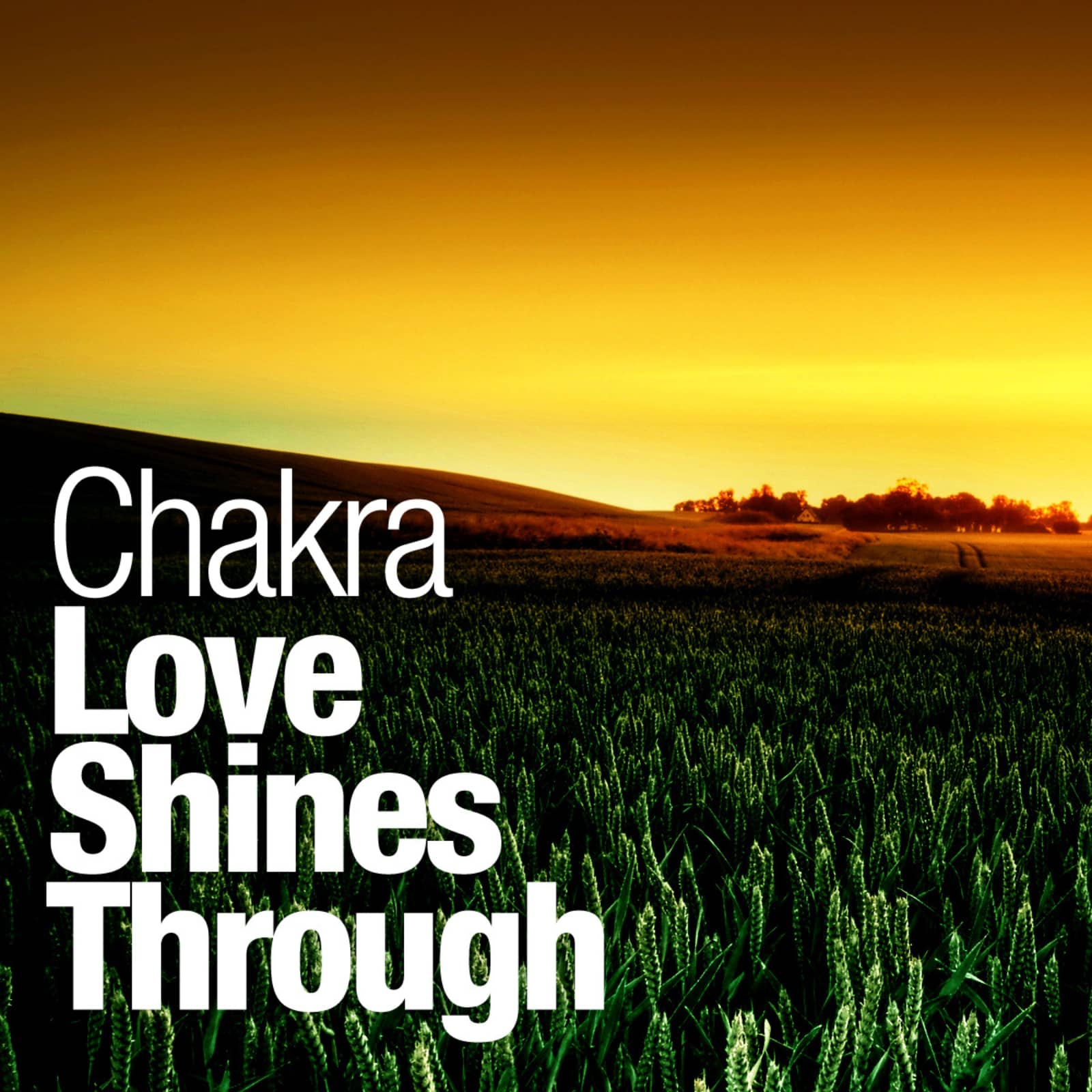 Chakra — Love Shines Through