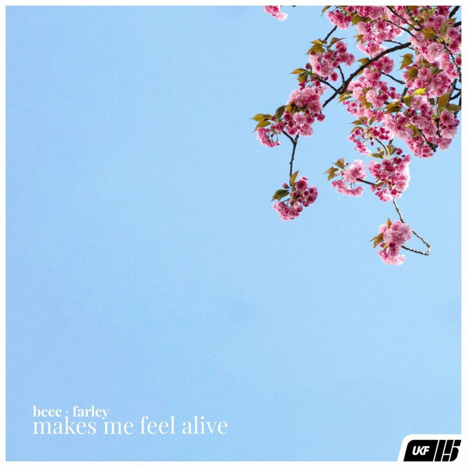 Bcee & Farley — Makes Me Feel Alive