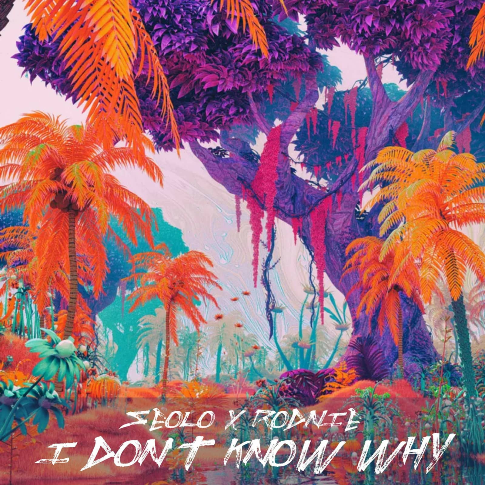 Seolo, Rodnie — I Don't Know Why (Extended Mix)