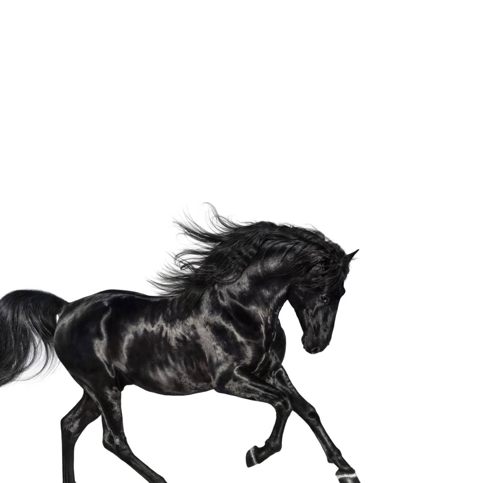 Lil Nas X — Old Town Road