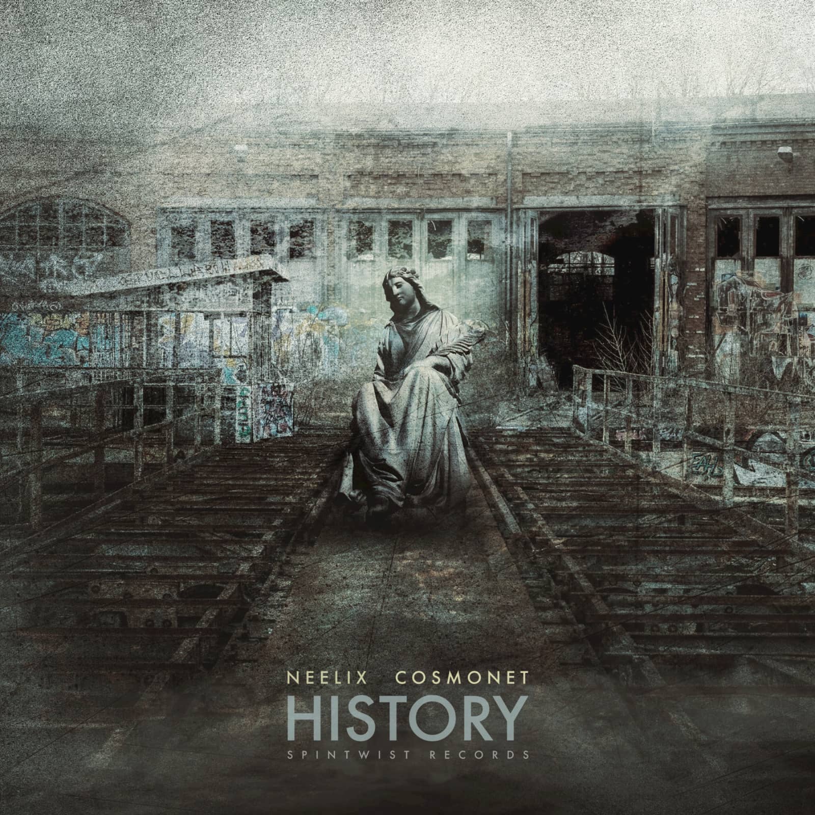 Neelix & Cosmonet — History