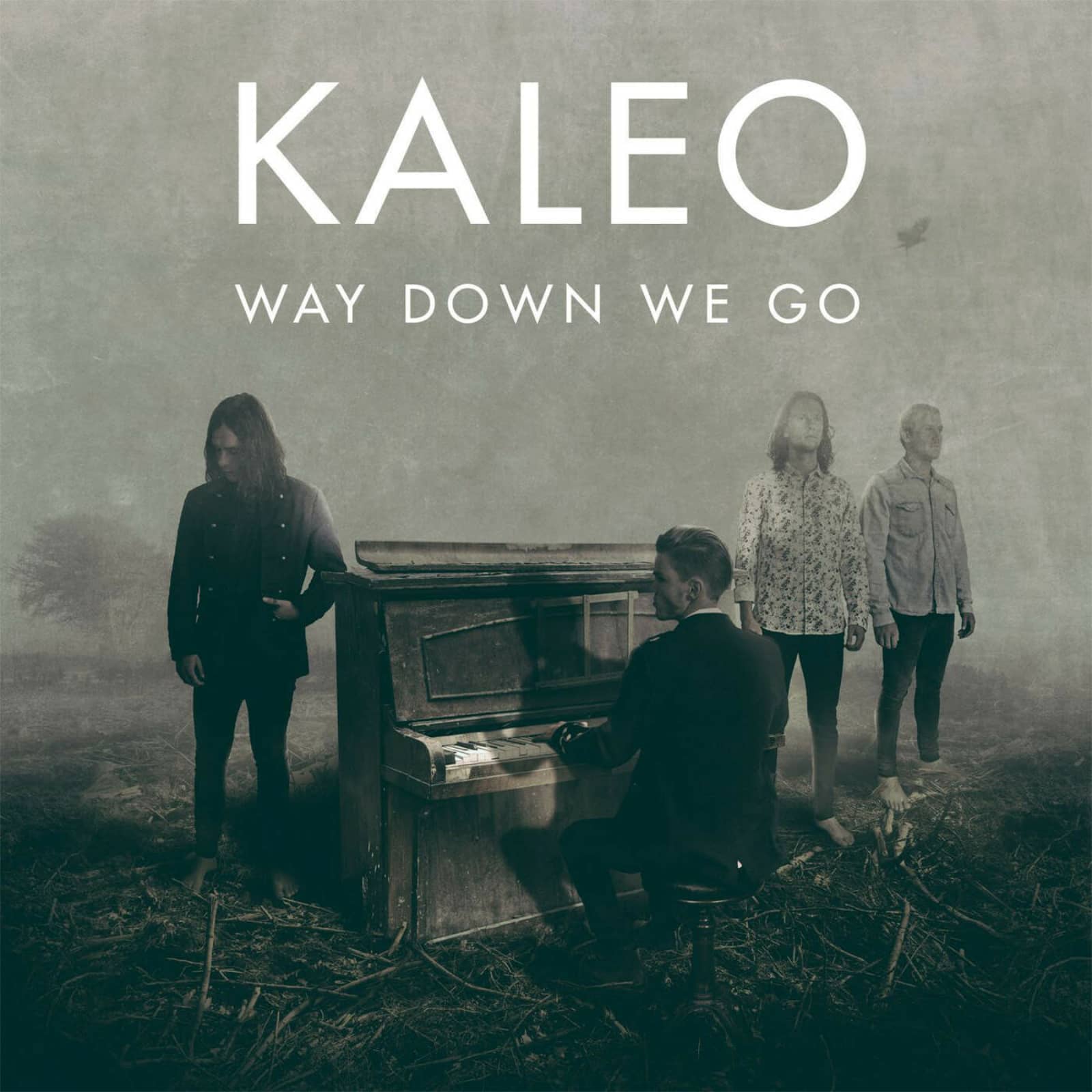 Kaleo — Way Down We Go