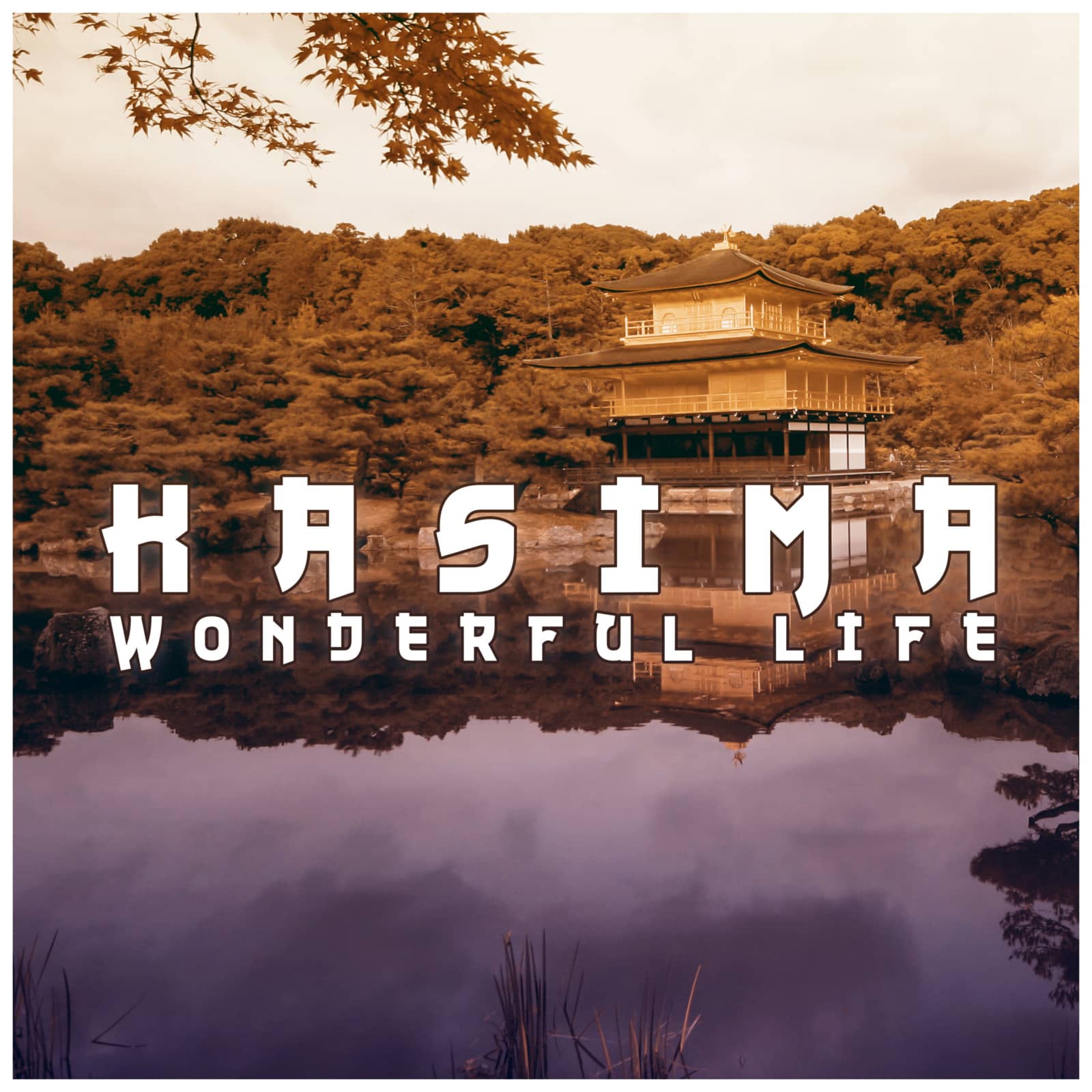 Kasima — Wonderful Life (Mason Tyler Remix)