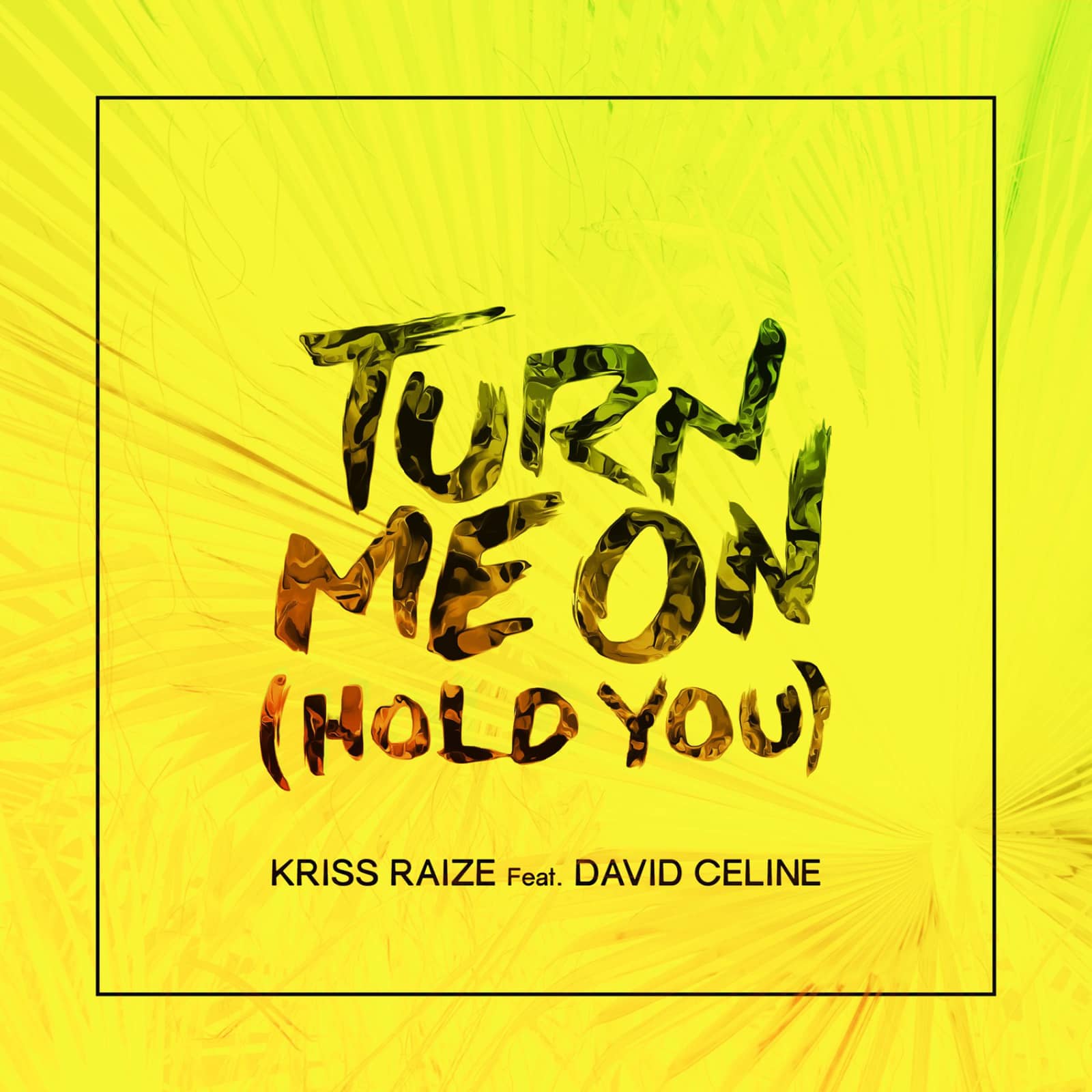 Kriss Raize Feat. David Celine — Turn Me On (Hold You)