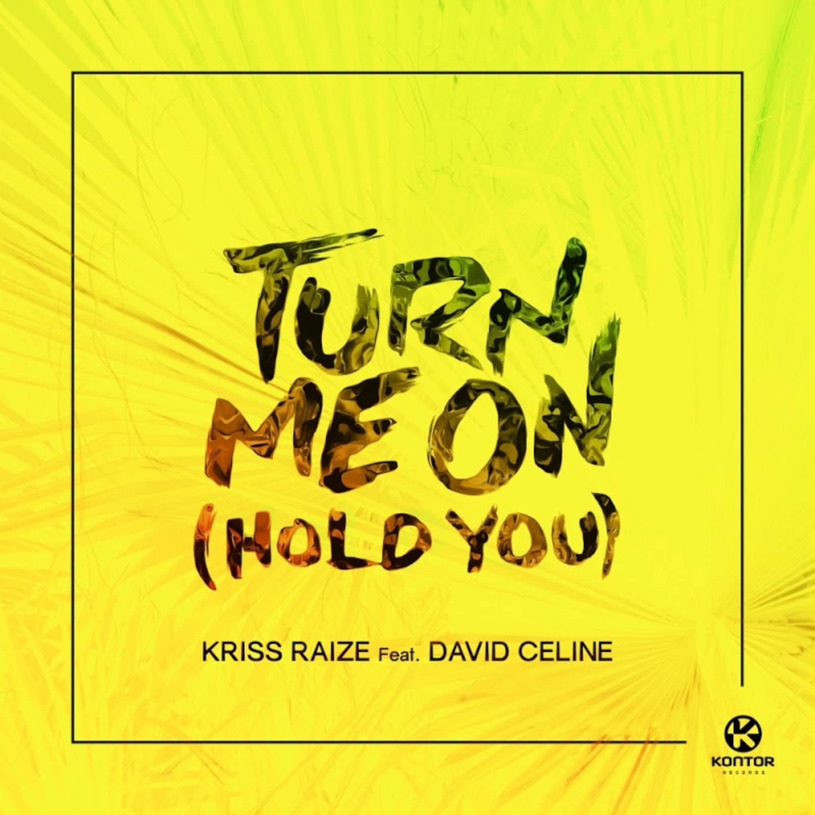 Kriss Raize Feat. David Celine — Turn Me On (Hold You) (Stereoact Remix)