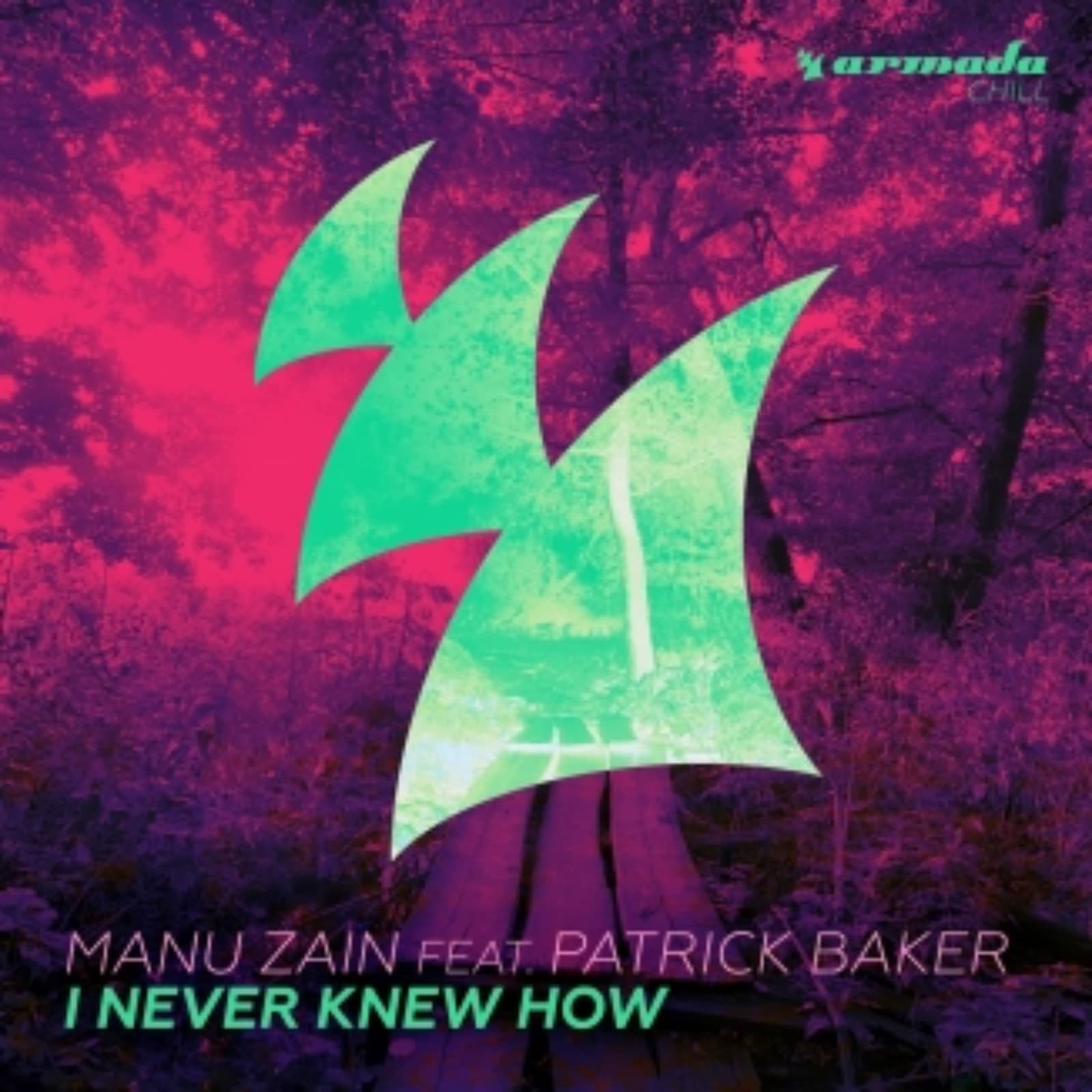 Manu Zain feat. Patrick Baker — I Never Knew How (Original Mix)