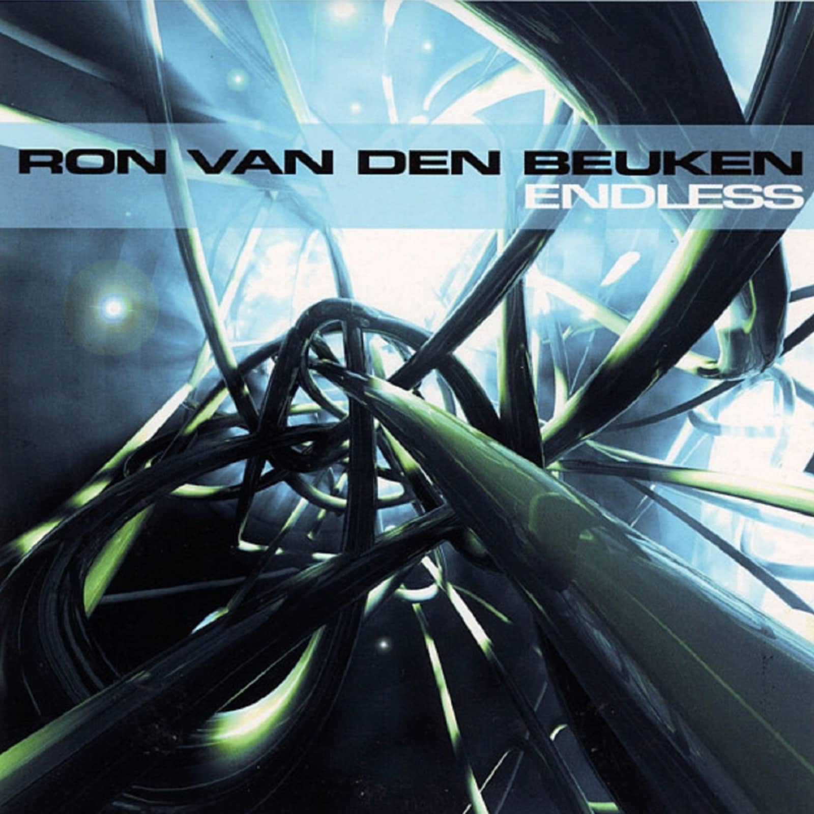 Ron van den Beuken — Endless