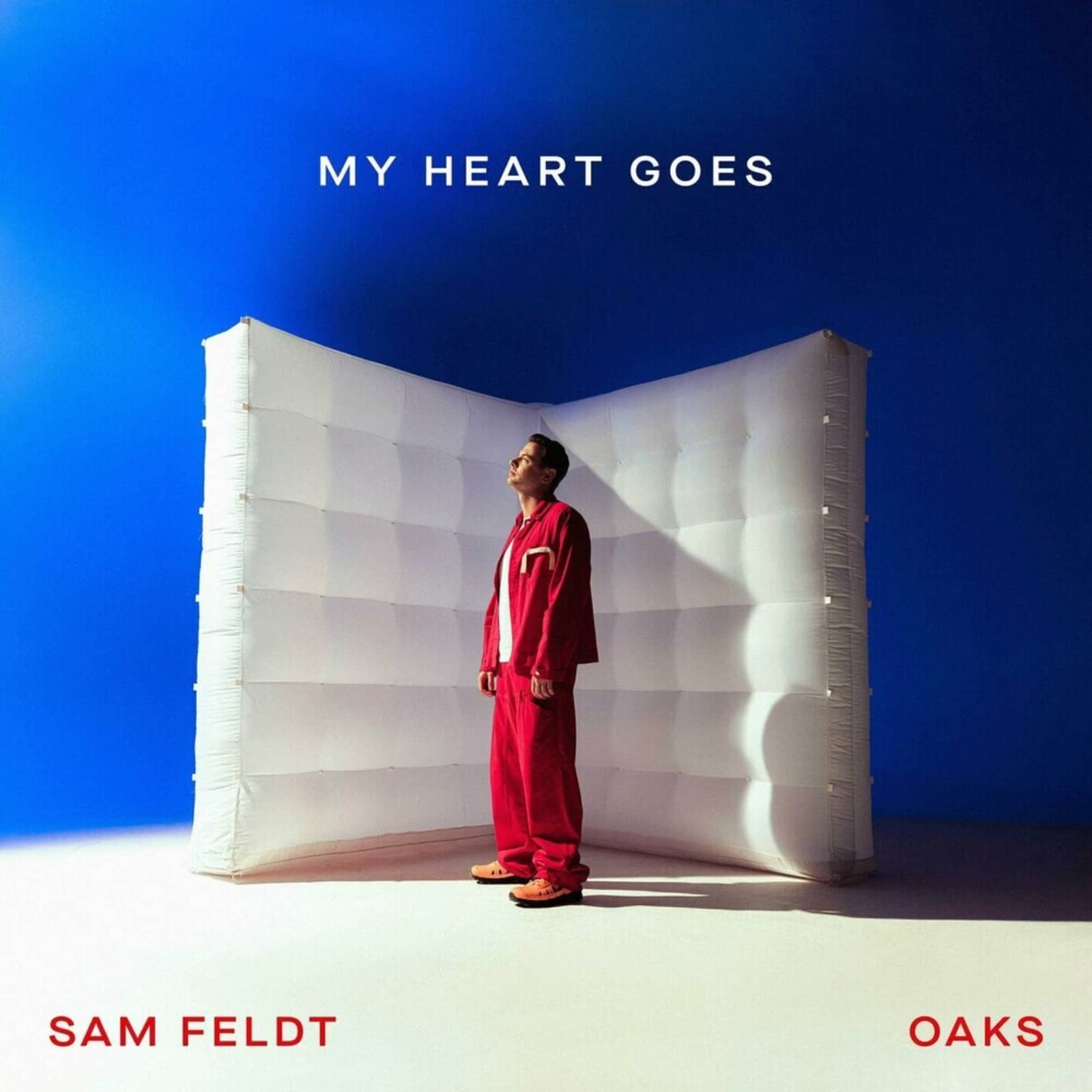 Sam Feldt feat. Oaks — My Heart Goes