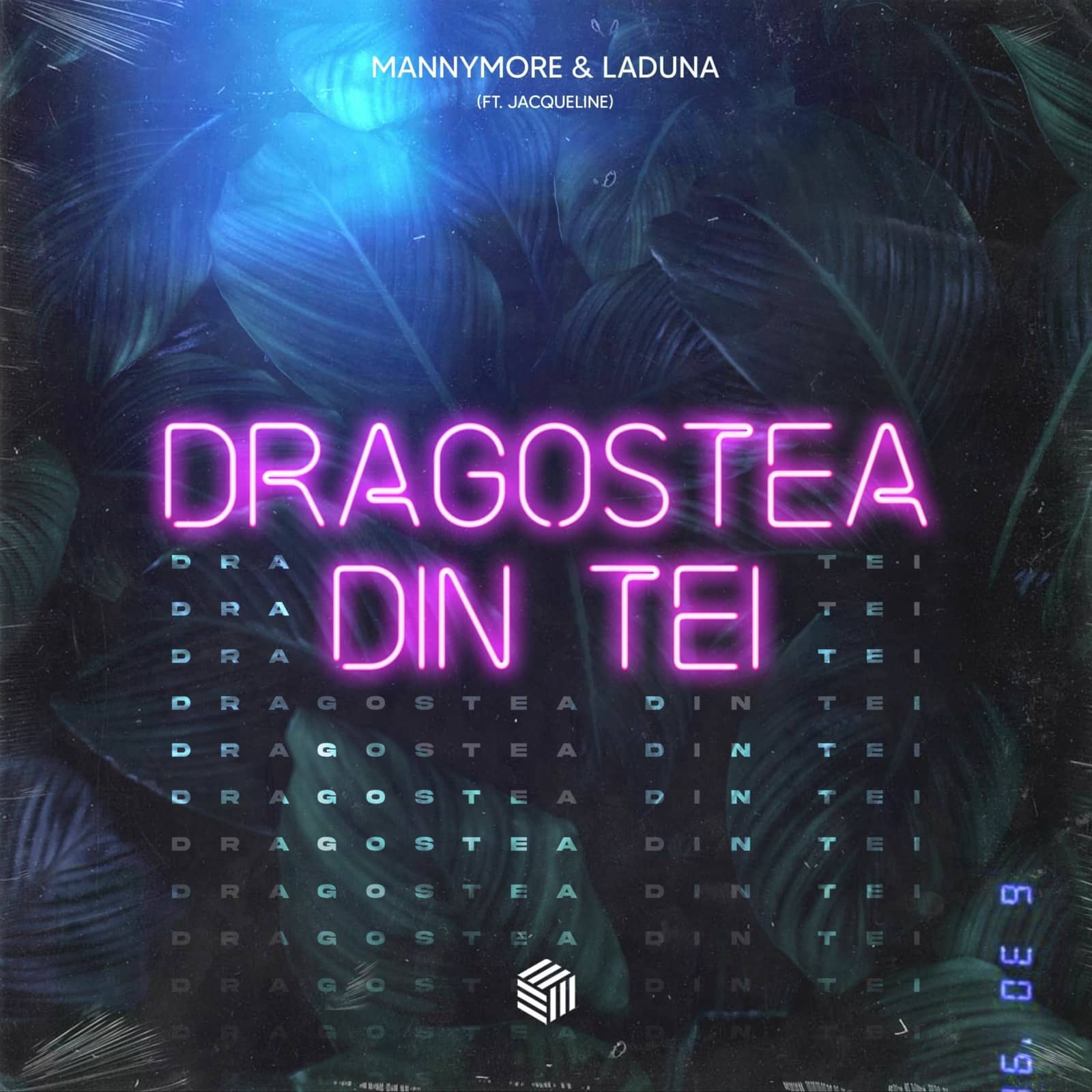 Mannymore — Dragostea Din Tei