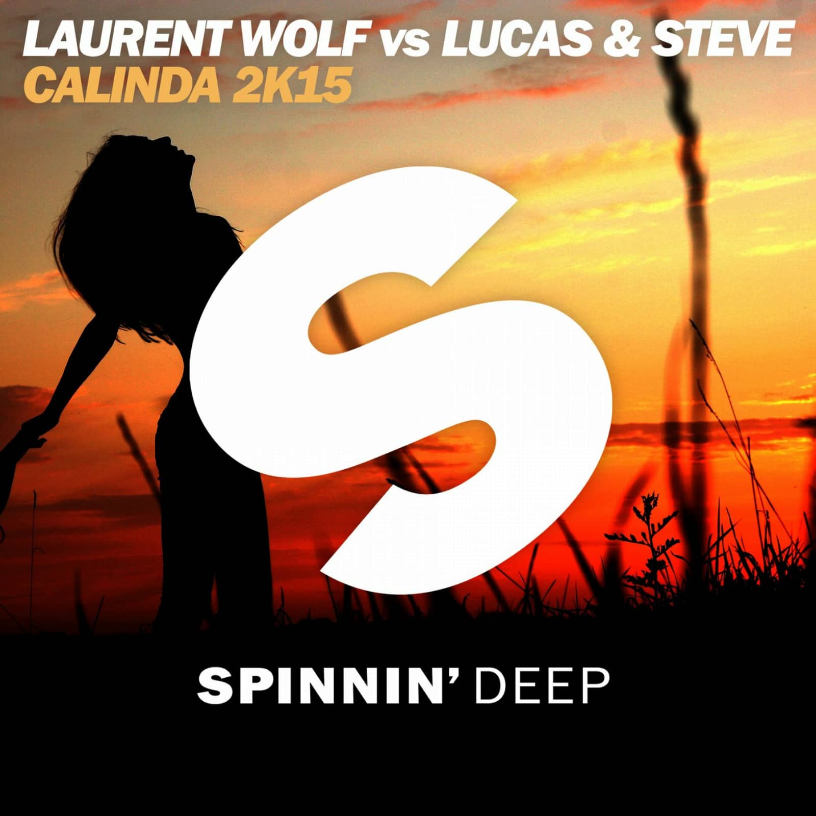 Laurent Wolf vs. Lucas & Steve — Calinda 2K15