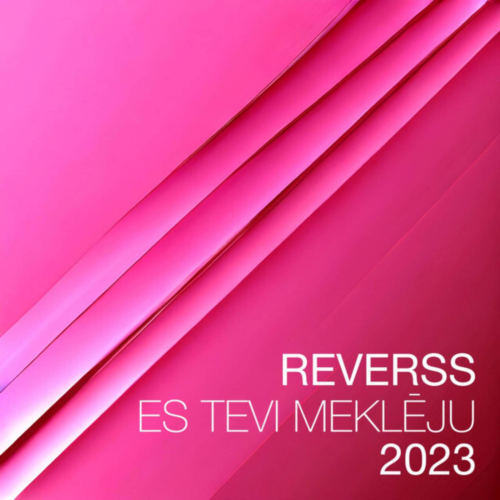 Reverss/DJ Uga — Es Tevi Meklēju (DJ UGA Remix)