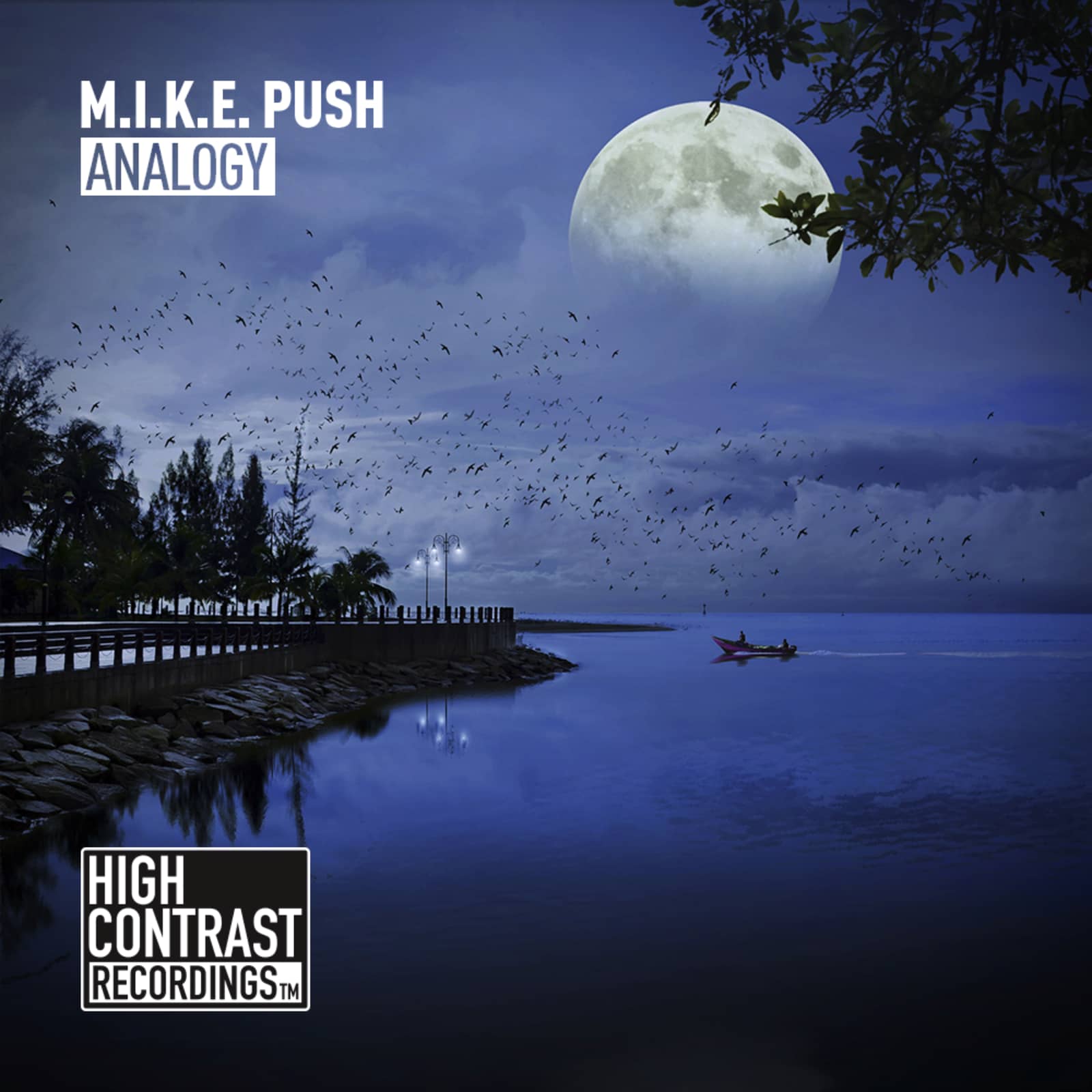 M.I.K.E. Push — Analogy