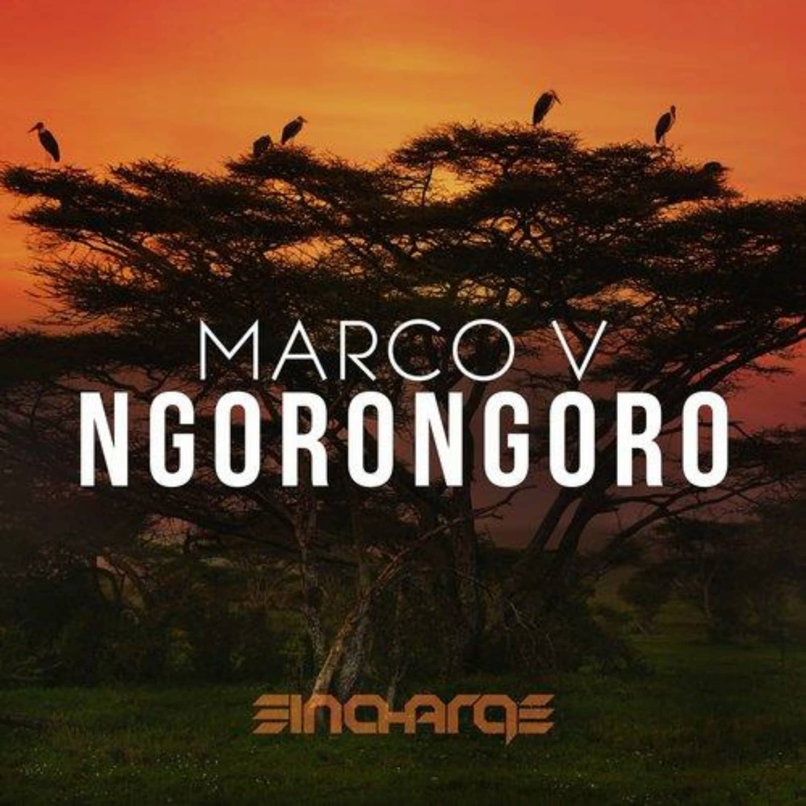 Marco V — Ngorongoro (Original Mix)