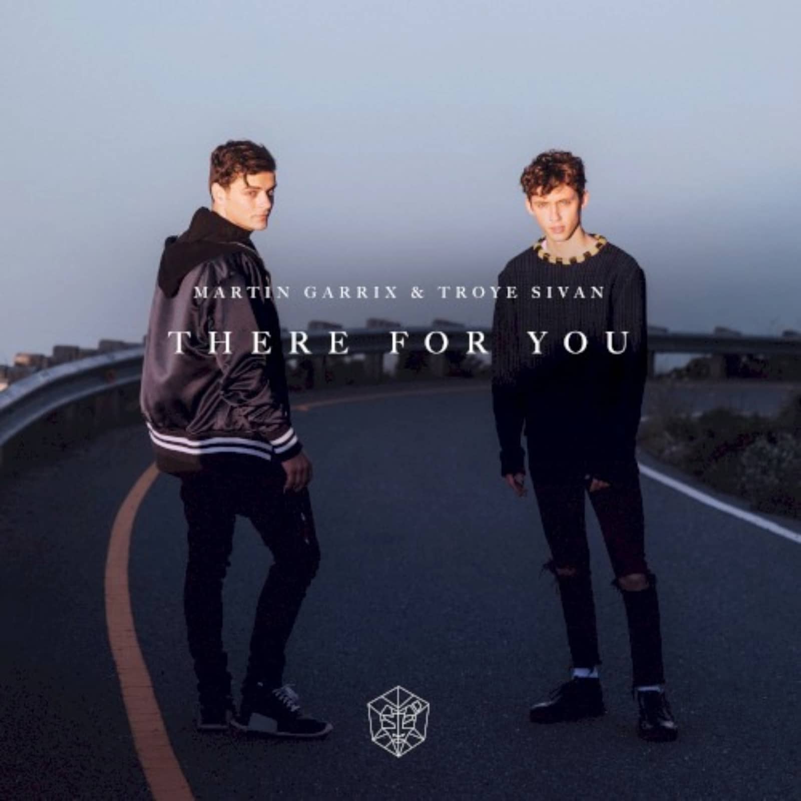 Martin Garrix & Troye Sivan — There for You
