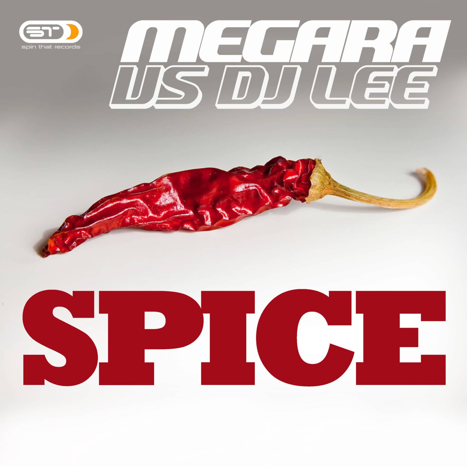 Megara vs. DJ Lee — Spice