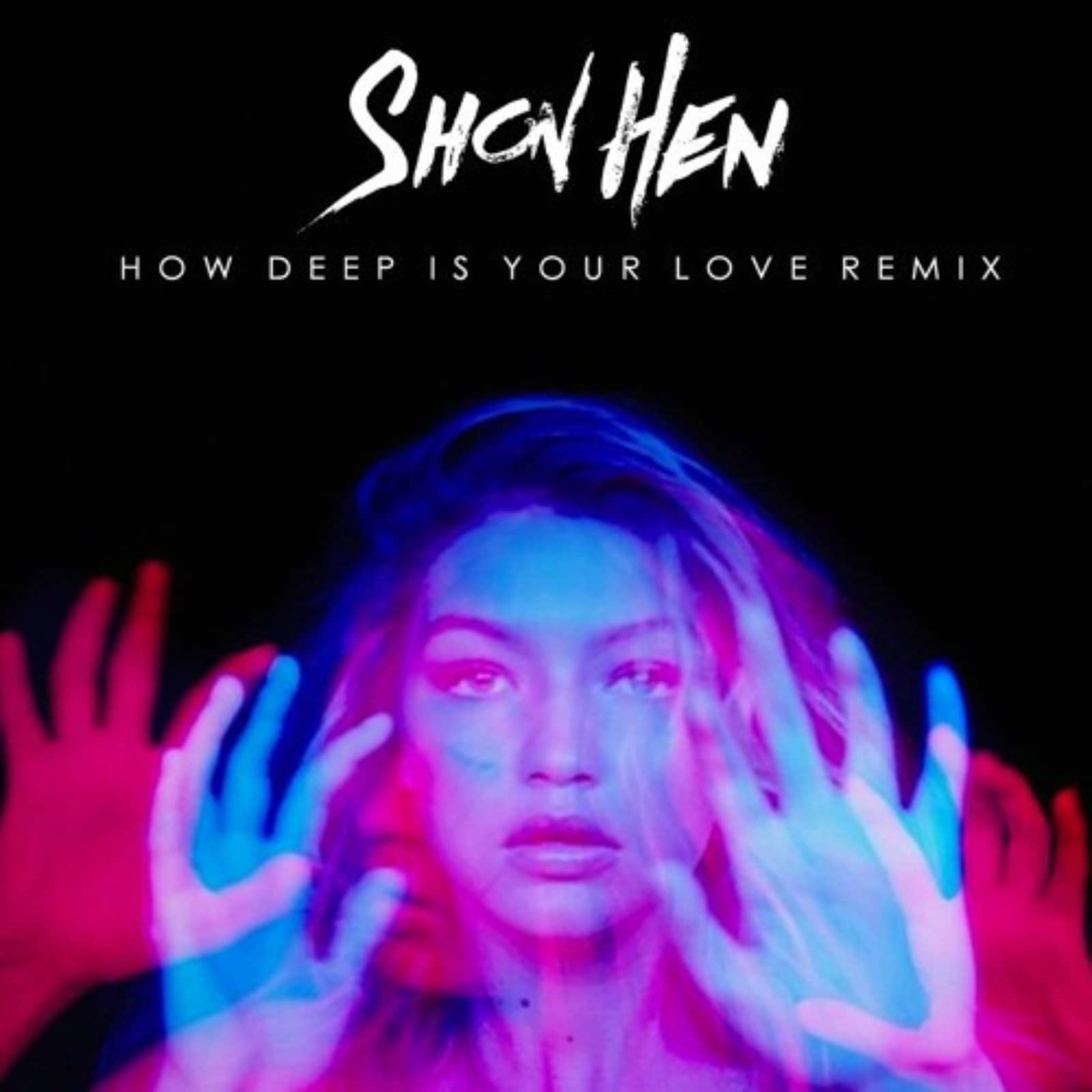 Calvin Harris & Disciples — How Deep Is Your Love (Shon Hen Remix)