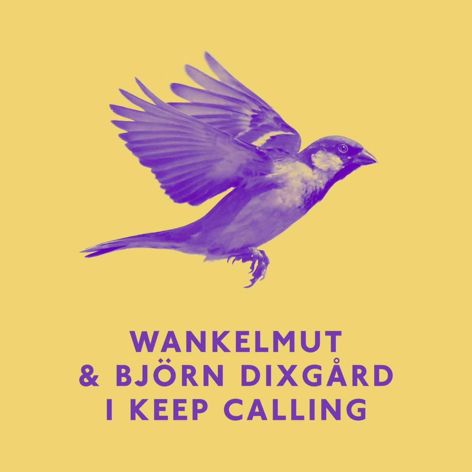 Wankelmut & Björn Dixgård — I Keep Calling