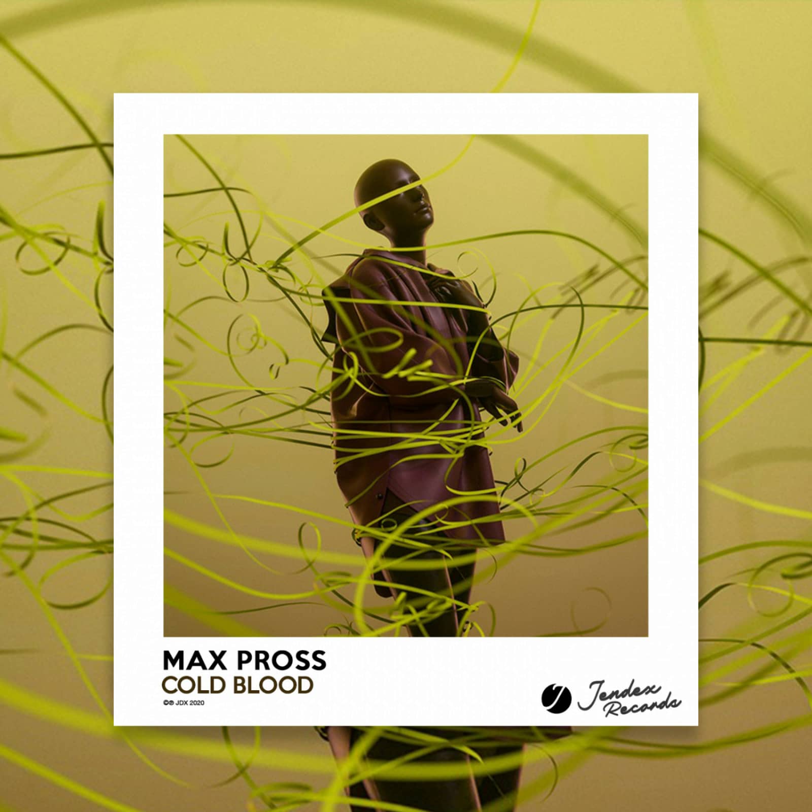 Max Pross — Cold Blood